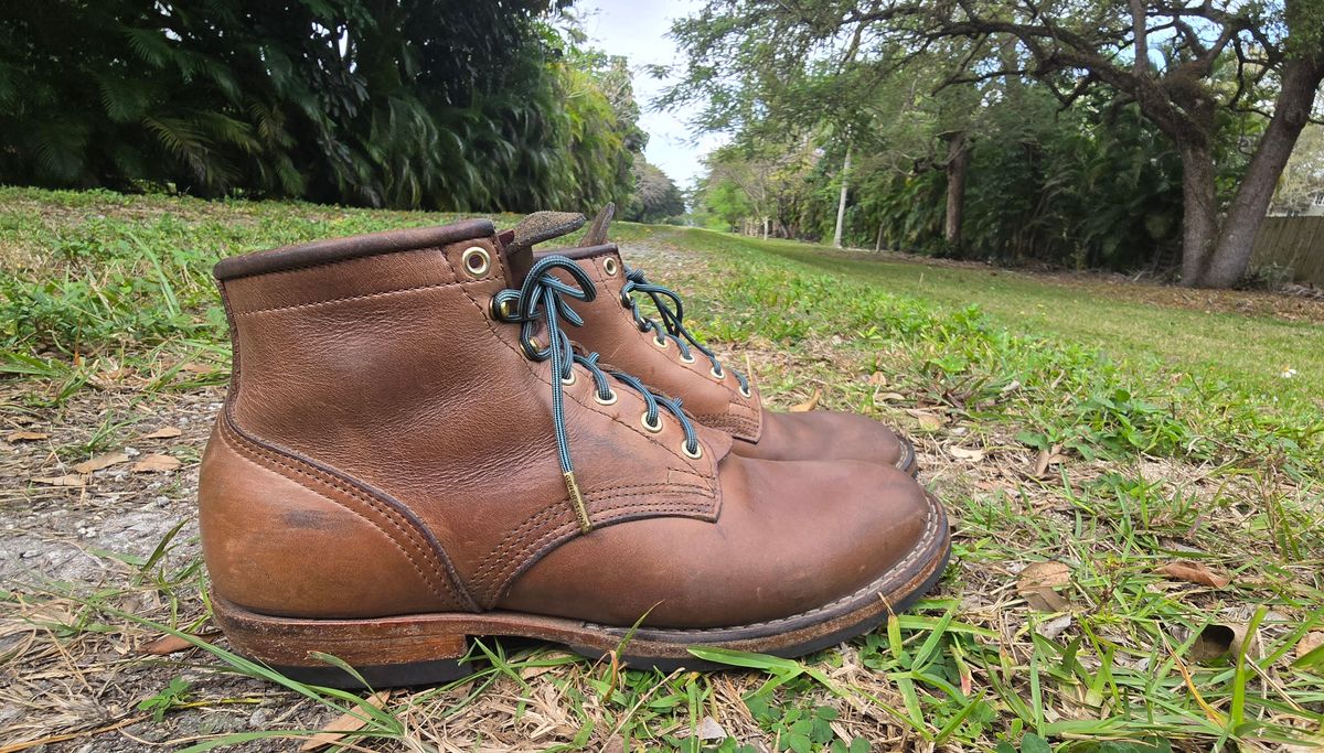 Photo by ShadyBoots on March 3, 2024 of the Nicks MTO in Horween Natural Chromexcel.
