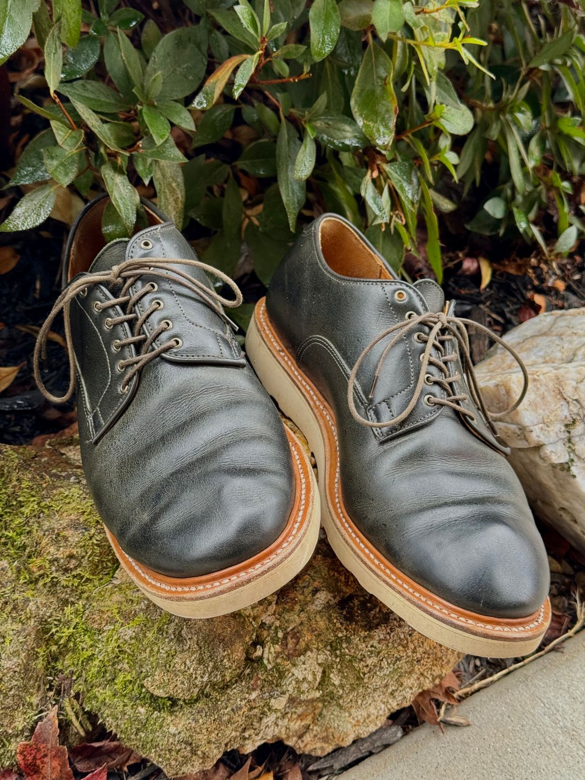 Photo by yeolderoberto on December 2, 2023 of the Viberg Derby Shoe in C.F. Stead Military Green Waxed Kudu.