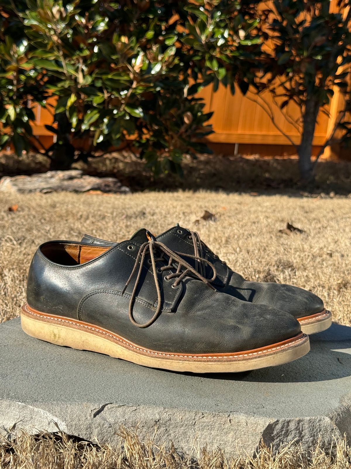 Photo by yeolderoberto on January 1, 2024 of the Viberg Derby Shoe in C.F. Stead Military Green Waxed Kudu.