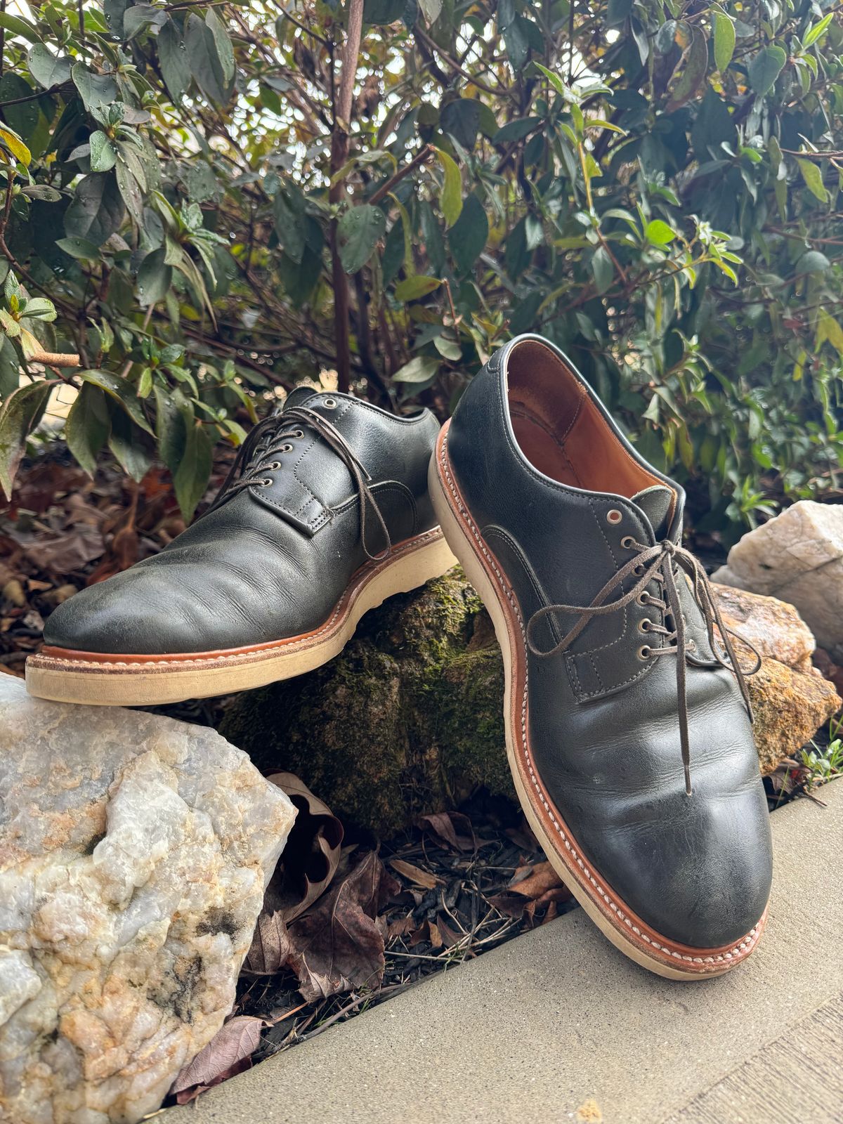 Photo by yeolderoberto on March 2, 2024 of the Viberg Derby Shoe in C.F. Stead Military Green Waxed Kudu.