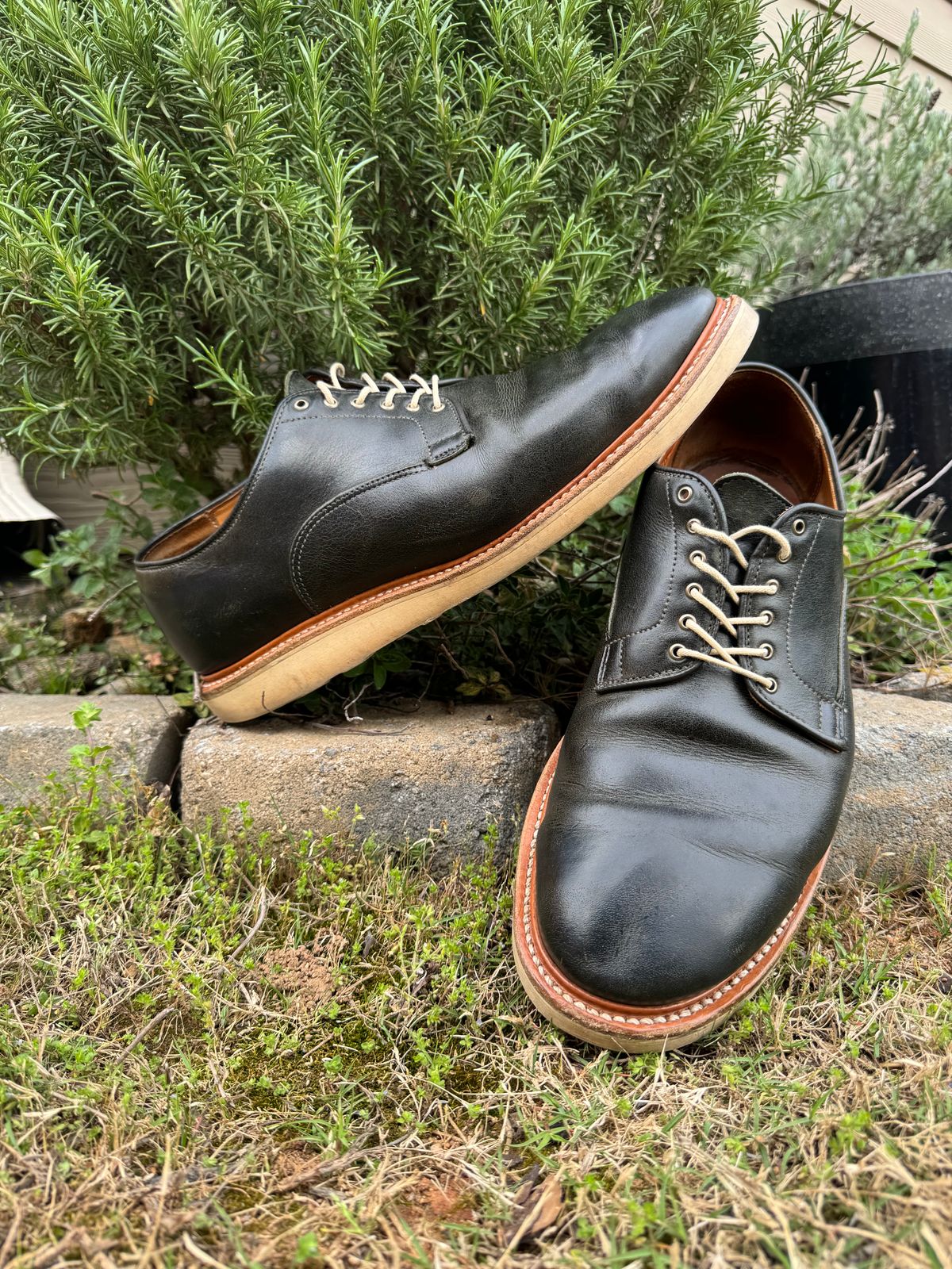 Photo by yeolderoberto on April 2, 2024 of the Viberg Derby Shoe in C.F. Stead Military Green Waxed Kudu.