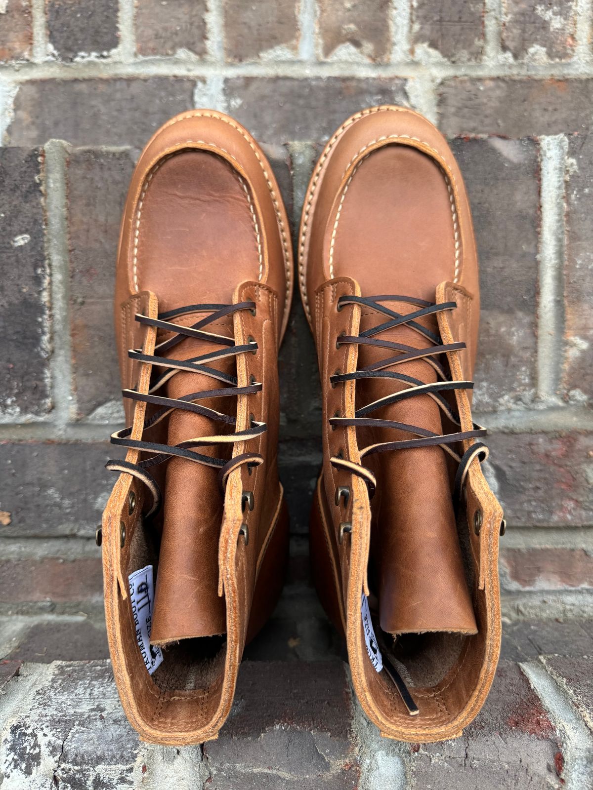 Photo by yeolderoberto on October 1, 2024 of the Truman Moc Toe in British Tan Grizzly.