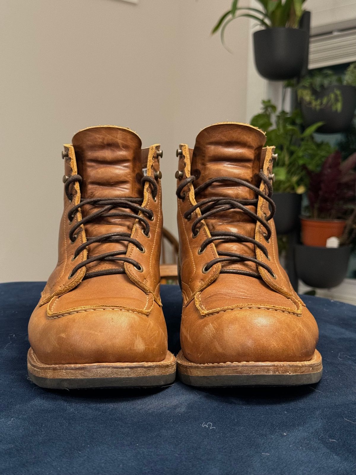 Photo by yeolderoberto on November 5, 2024 of the Truman Moc Toe in British Tan Grizzly.