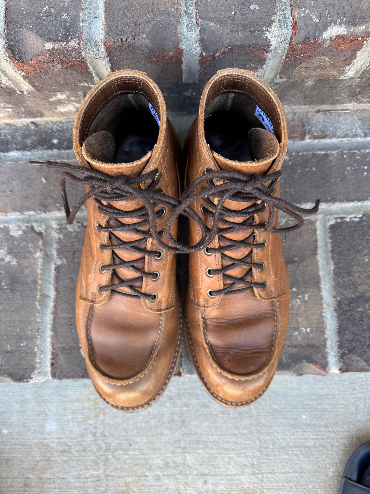 Photo by yeolderoberto on December 4, 2024 of the Truman Moc Toe in British Tan Grizzly.