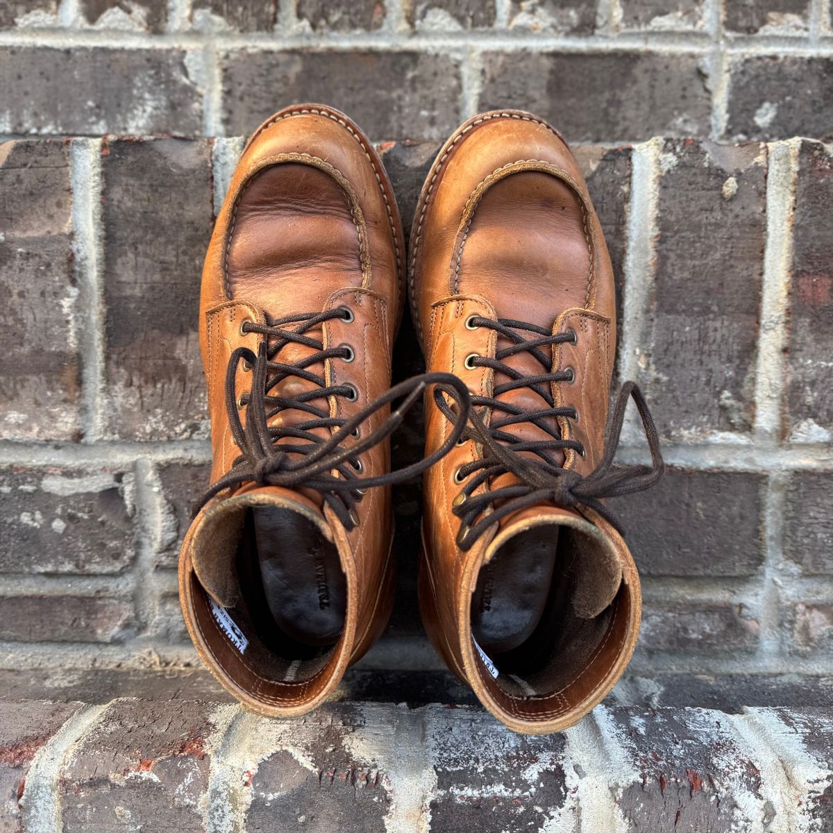 Photo by yeolderoberto on March 5, 2025 of the Truman Moc Toe in British Tan Grizzly.