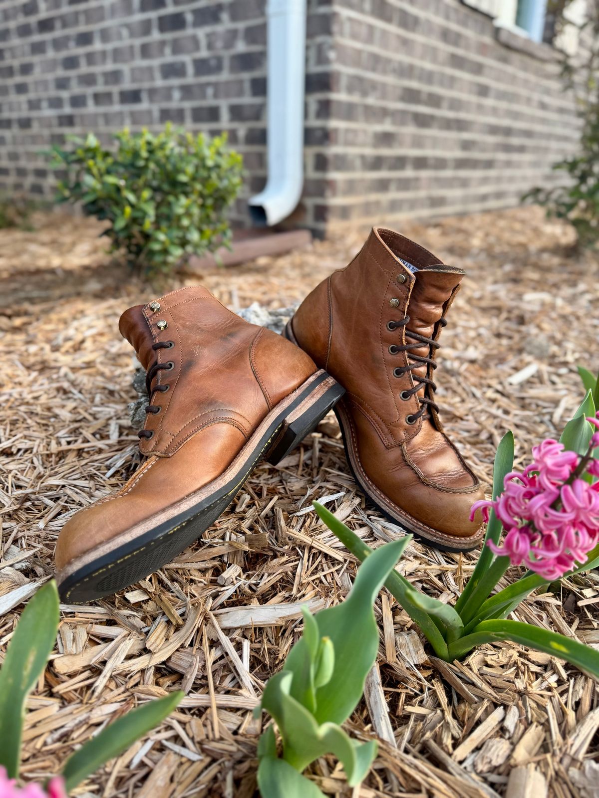 Photo by yeolderoberto on April 1, 2025 of the Truman Moc Toe in British Tan Grizzly.