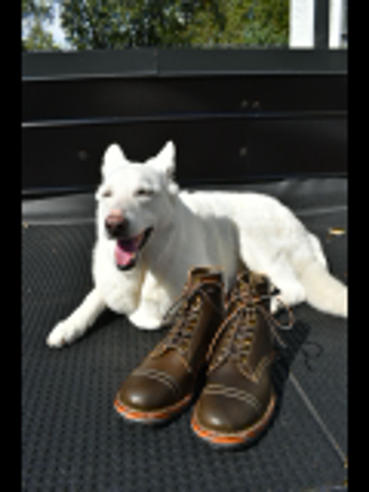 Photo by tempesttost on October 4, 2022 of the White's MP-Sherman Toe Cap in Horween Olive Waxed Flesh.