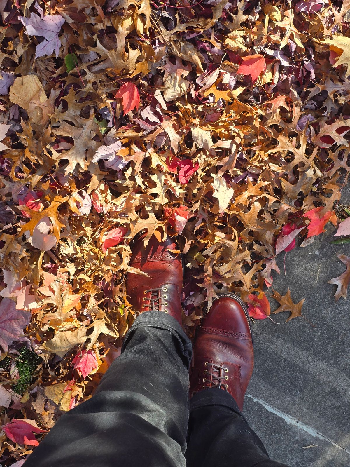 Photo by tempesttost on November 5, 2024 of the Grant Stone Garrison Boot in Gallun Red Denali Stag.