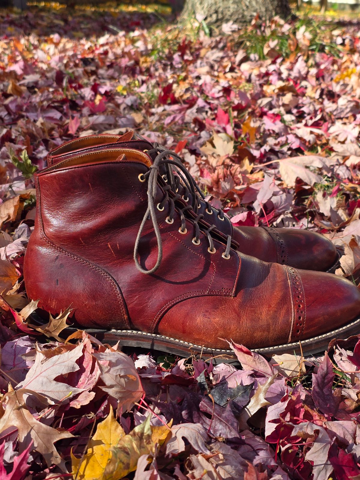 Photo by tempesttost on November 5, 2024 of the Grant Stone Garrison Boot in Gallun Red Denali Stag.