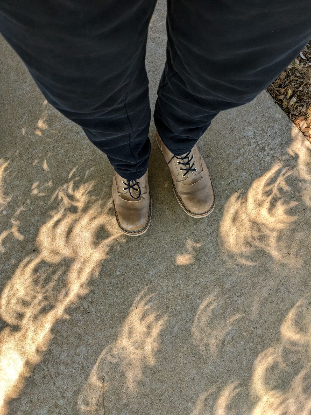 Photo by sunnypizzle on October 14, 2023 of the Morson Hamlyn in Maryam Grigio Light Horsebutt.
