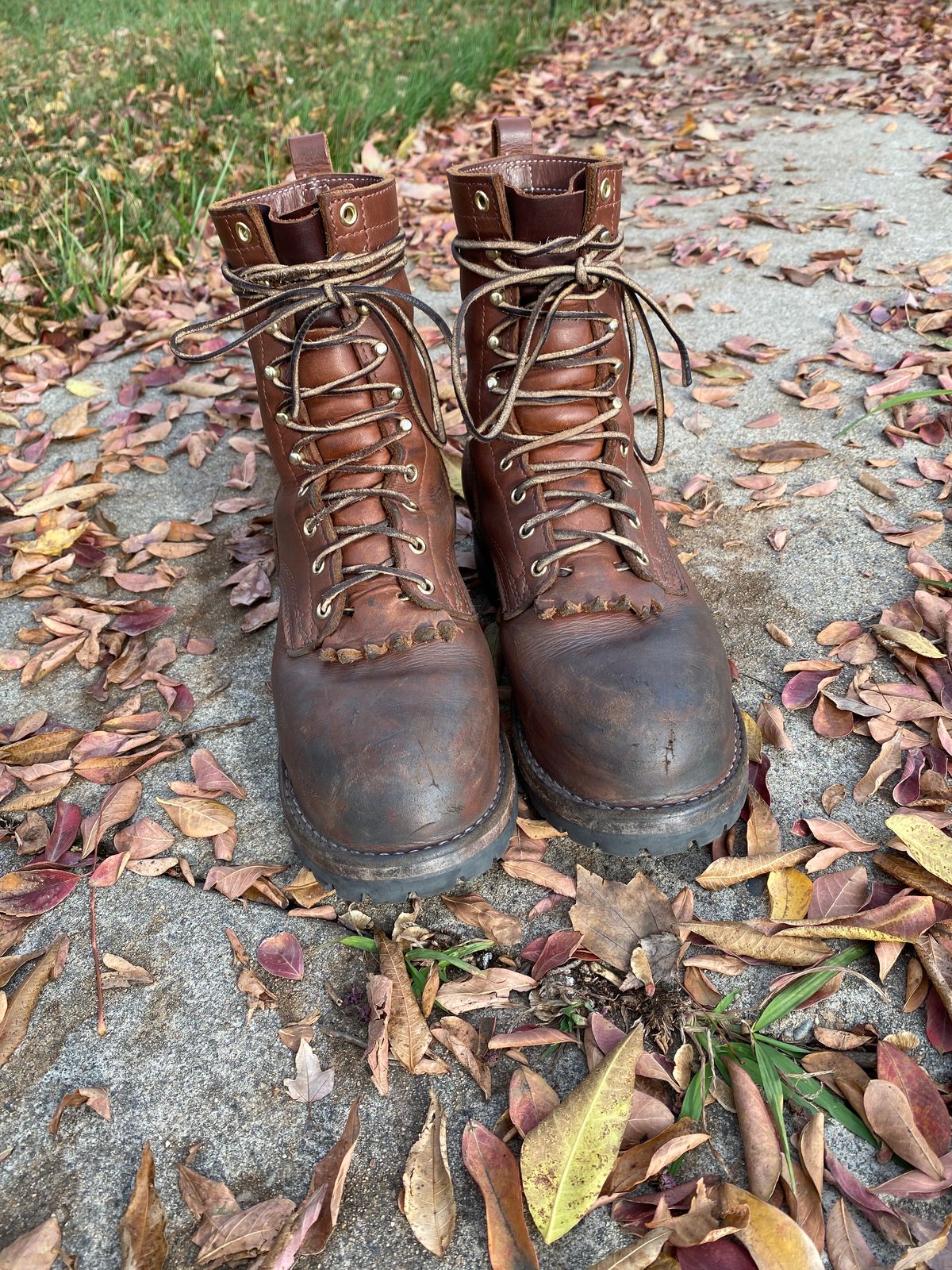 Photo by whiskey.bootlaces on December 4, 2023 of the Nicks BuilderPro in Seidel 1964 Brown.