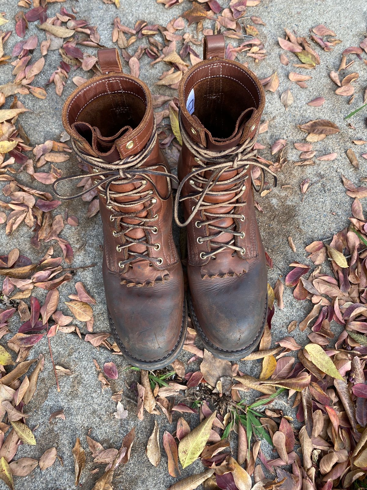 Photo by whiskey.bootlaces on December 4, 2023 of the Nicks BuilderPro in Seidel 1964 Brown.