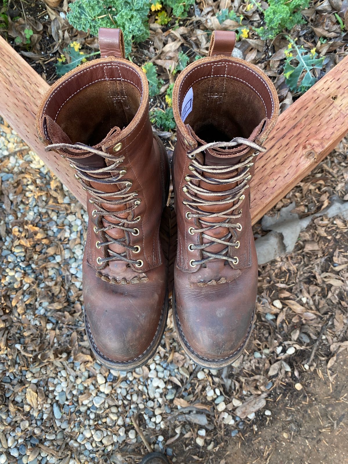 Photo by whiskey.bootlaces on January 6, 2024 of the Nicks BuilderPro in Seidel 1964 Brown.