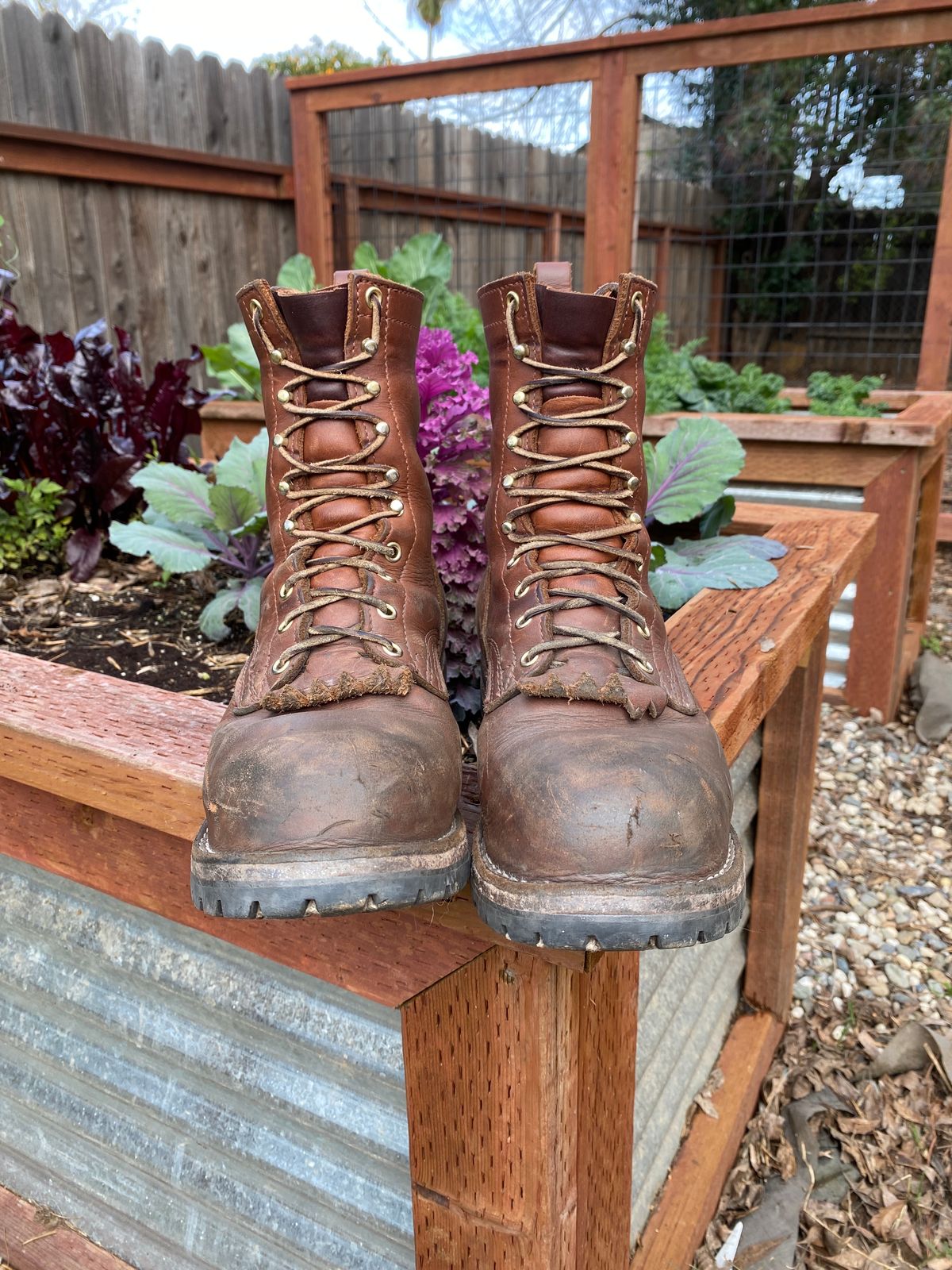 Photo by whiskey.bootlaces on February 3, 2024 of the Nicks BuilderPro in Seidel 1964 Brown.