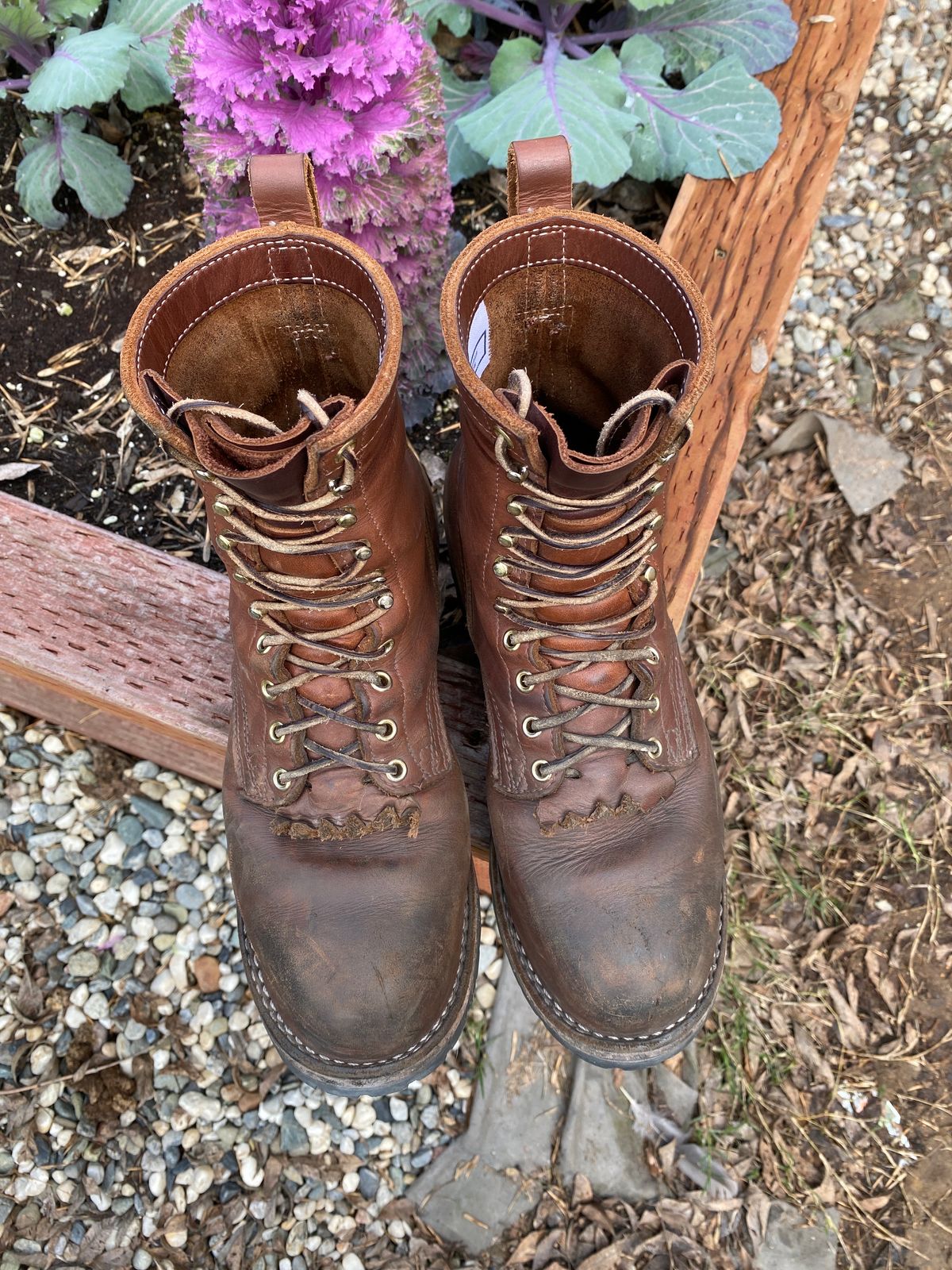 Photo by whiskey.bootlaces on February 3, 2024 of the Nicks BuilderPro in Seidel 1964 Brown.