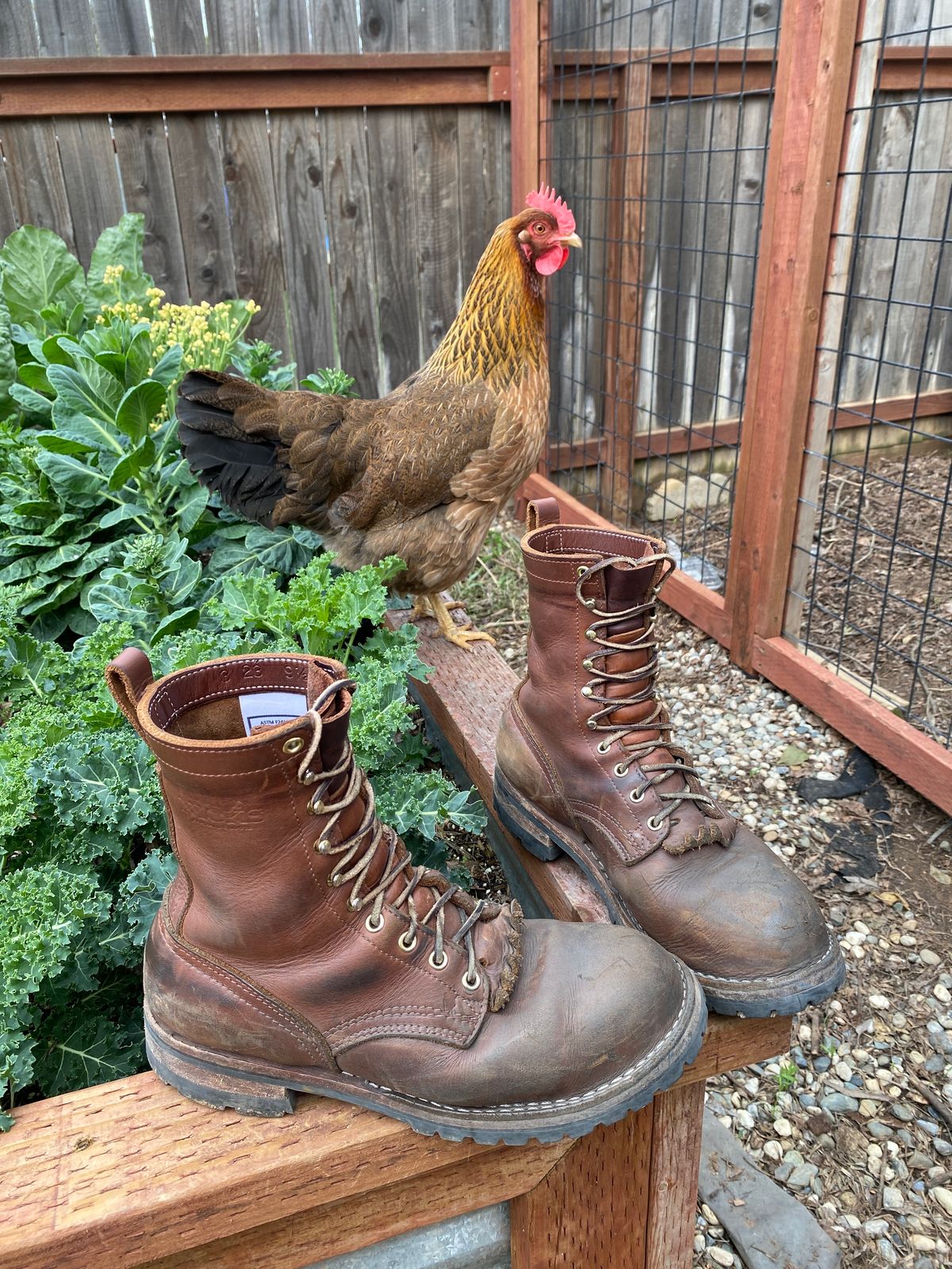 Photo by whiskey.bootlaces on March 5, 2024 of the Nicks BuilderPro in Seidel 1964 Brown.