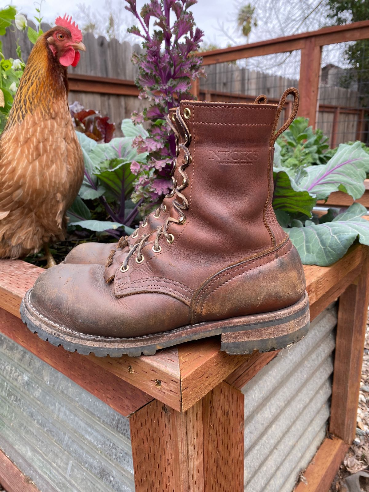 Photo by whiskey.bootlaces on March 5, 2024 of the Nicks BuilderPro in Seidel 1964 Brown.