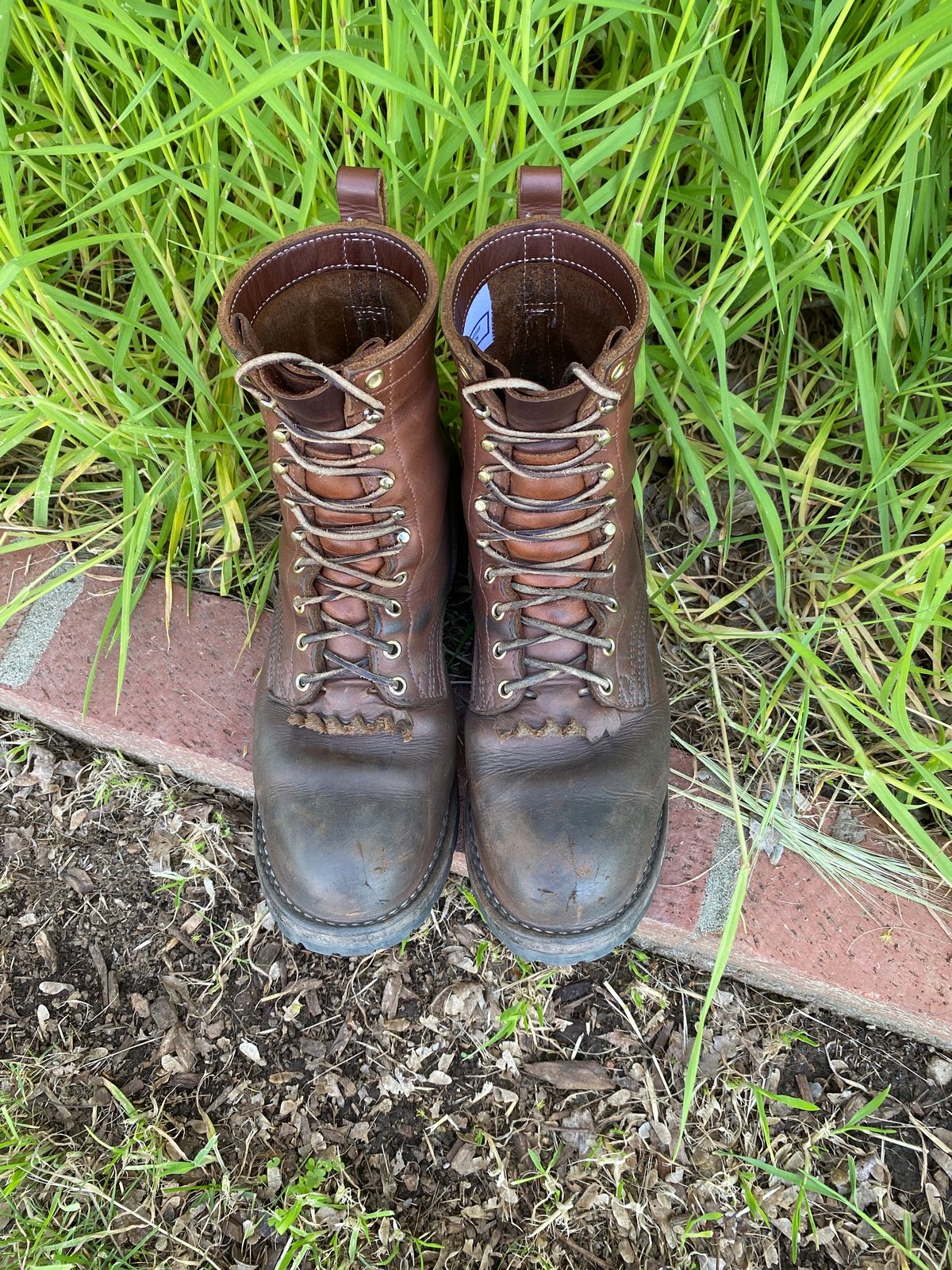 Photo by whiskey.bootlaces on April 3, 2024 of the Nicks BuilderPro in Seidel 1964 Brown.