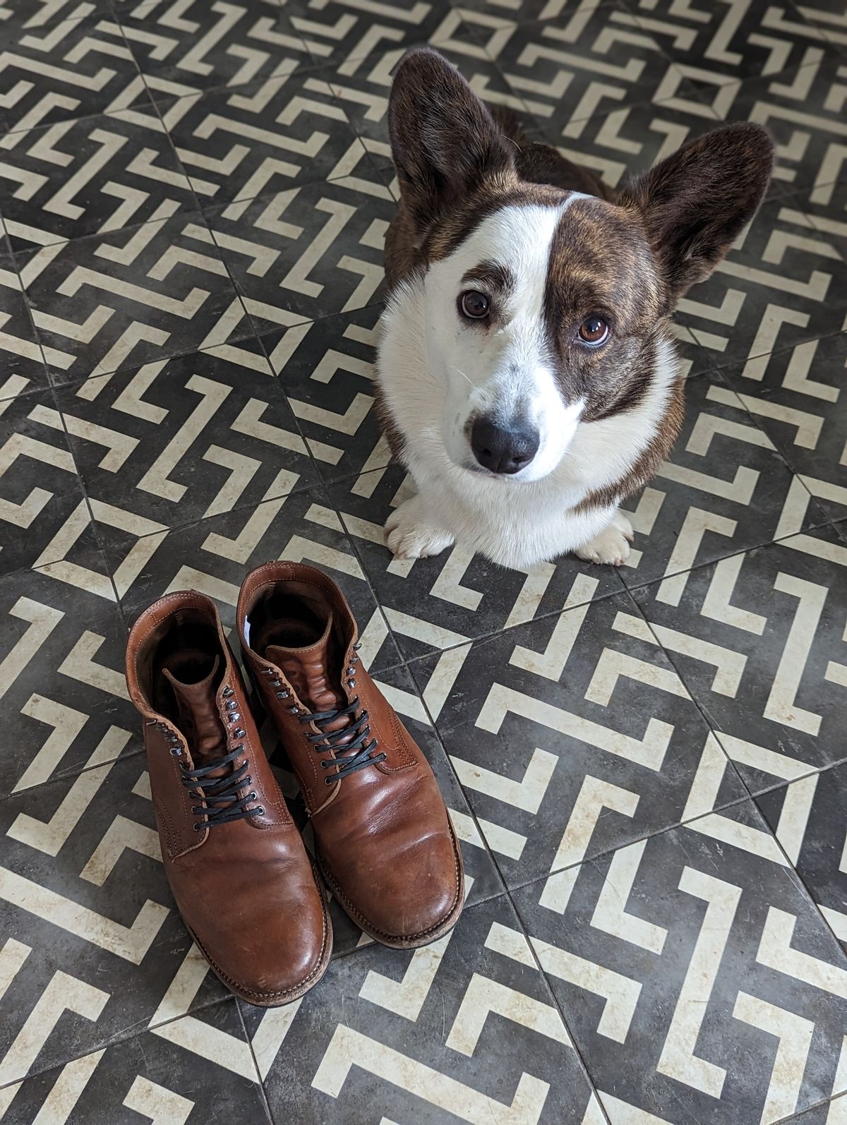 Photo by Nonbread on February 4, 2023 of the Viberg Service Boot in Maryam Moss Horsebutt.