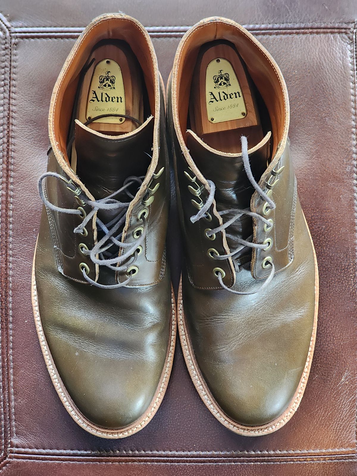 Photo by sasquatch on November 5, 2024 of the Grant Stone Diesel Boot in Horween Dark Olive Chromexcel.