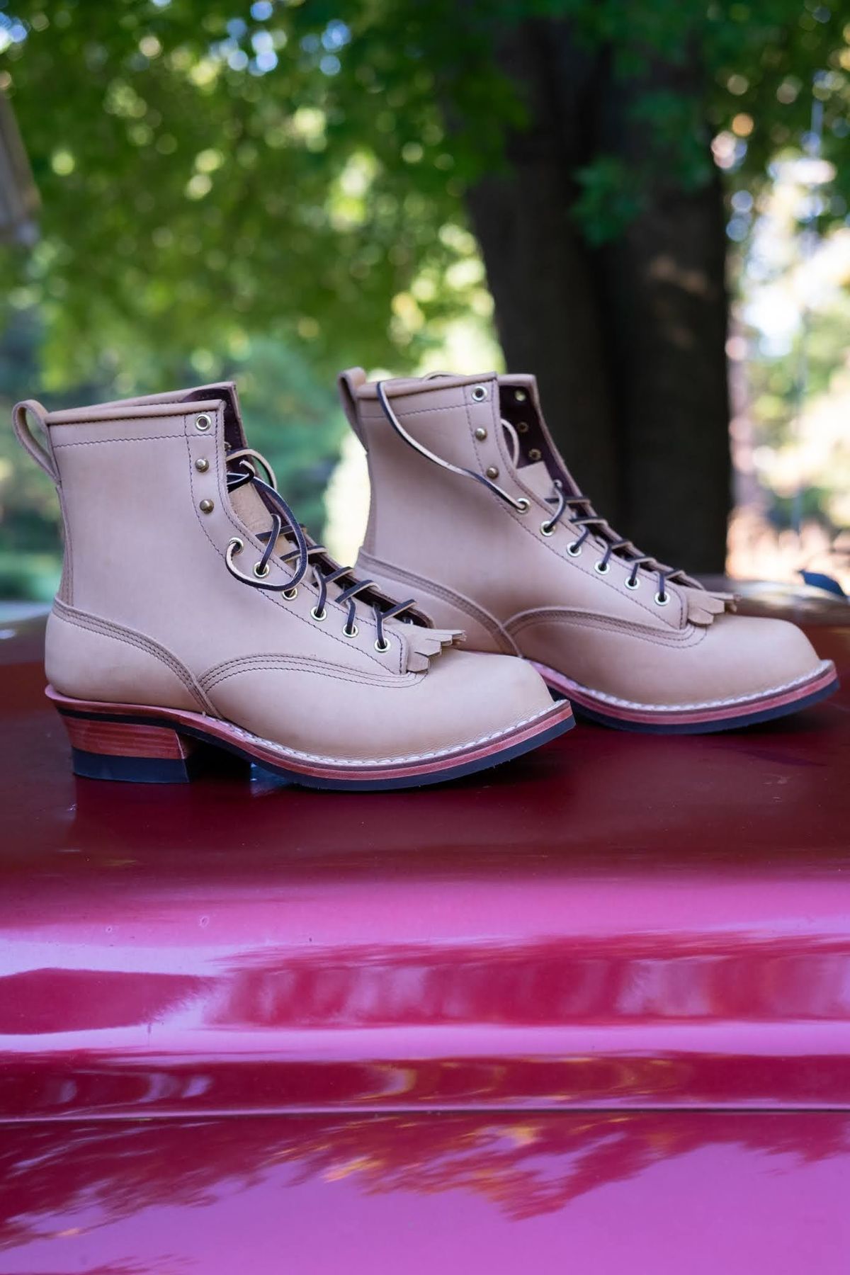 Photo by Homer346 on October 1, 2022 of the Nicks Lace To Toe in Seidel 1964 Tan.
