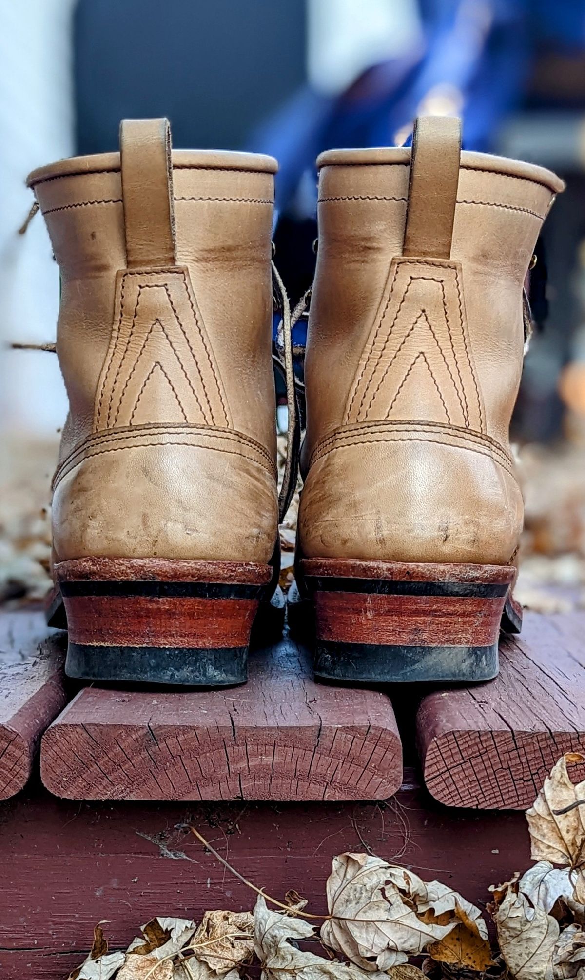 Photo by Homer346 on November 1, 2022 of the Nicks Lace To Toe in Seidel 1964 Tan.