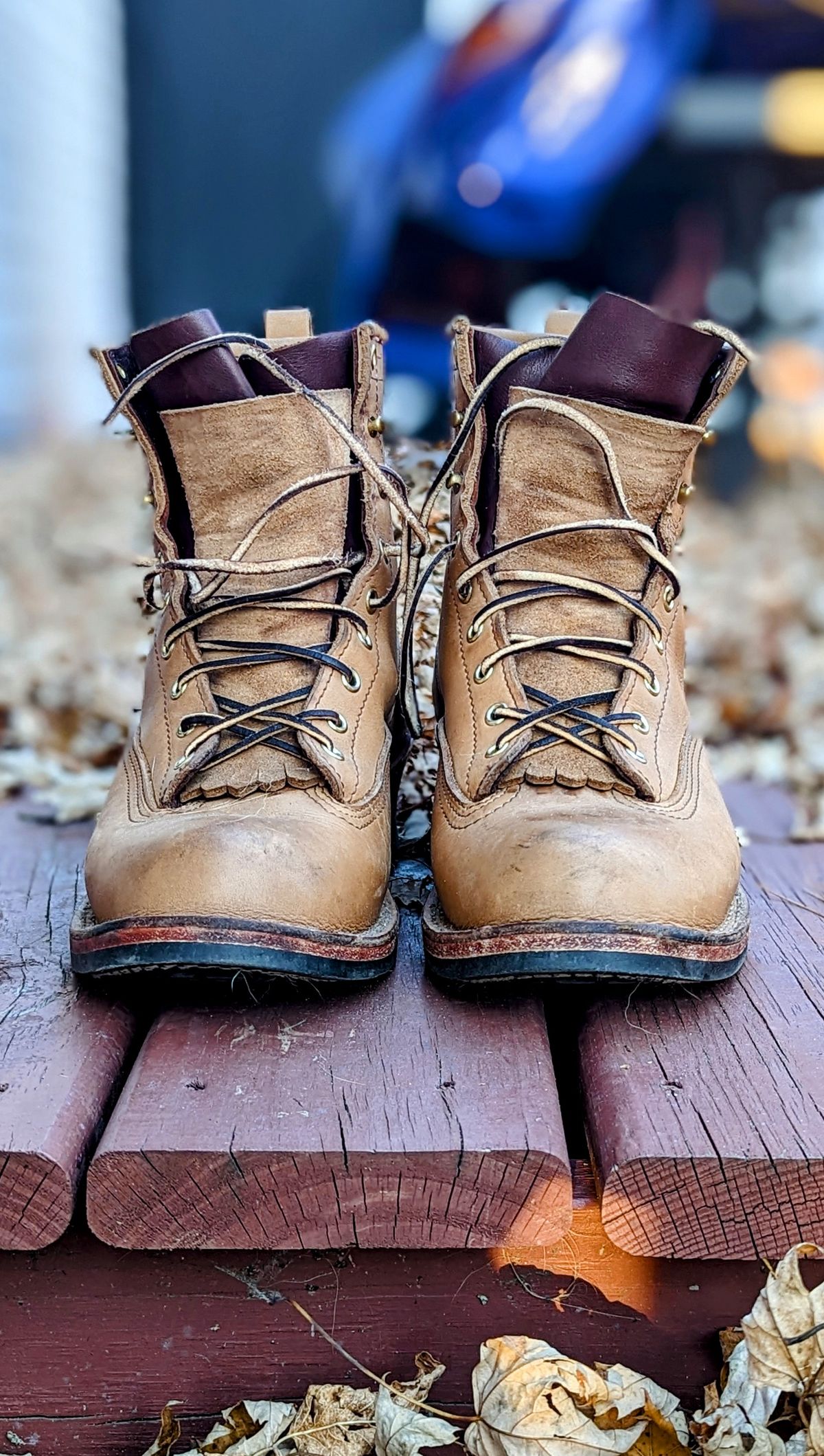 Photo by Homer346 on November 1, 2022 of the Nicks Lace To Toe in Seidel 1964 Tan.