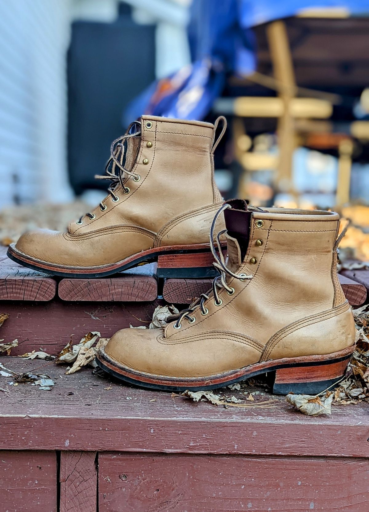 Photo by Homer346 on November 1, 2022 of the Nicks Lace To Toe in Seidel 1964 Tan.