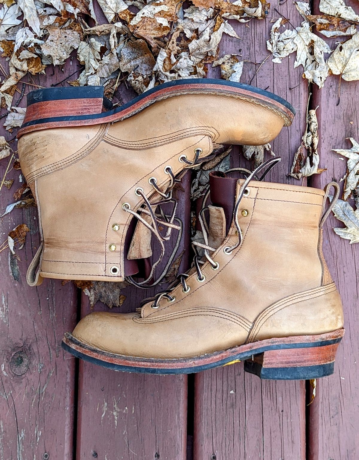 Photo by Homer346 on November 1, 2022 of the Nicks Lace To Toe in Seidel 1964 Tan.