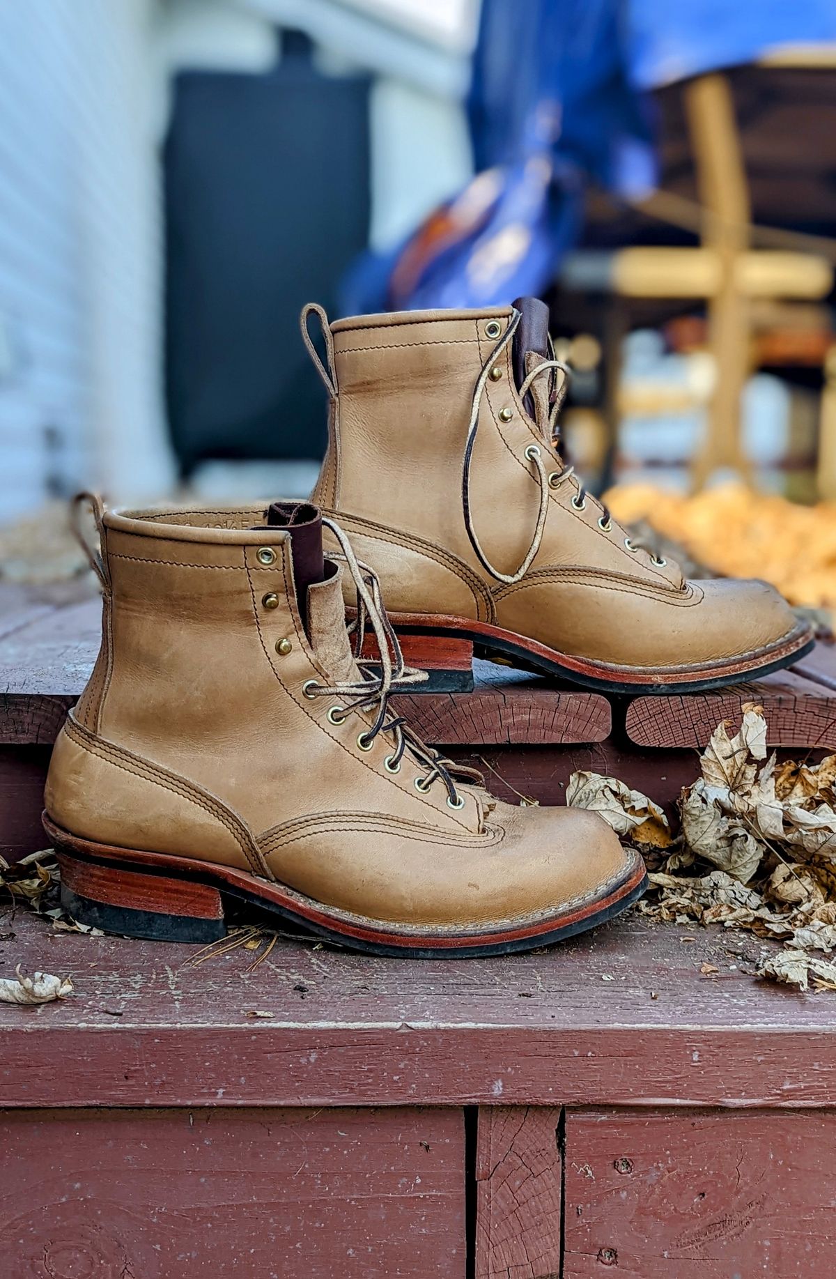 Photo by Homer346 on November 1, 2022 of the Nicks Lace To Toe in Seidel 1964 Tan.