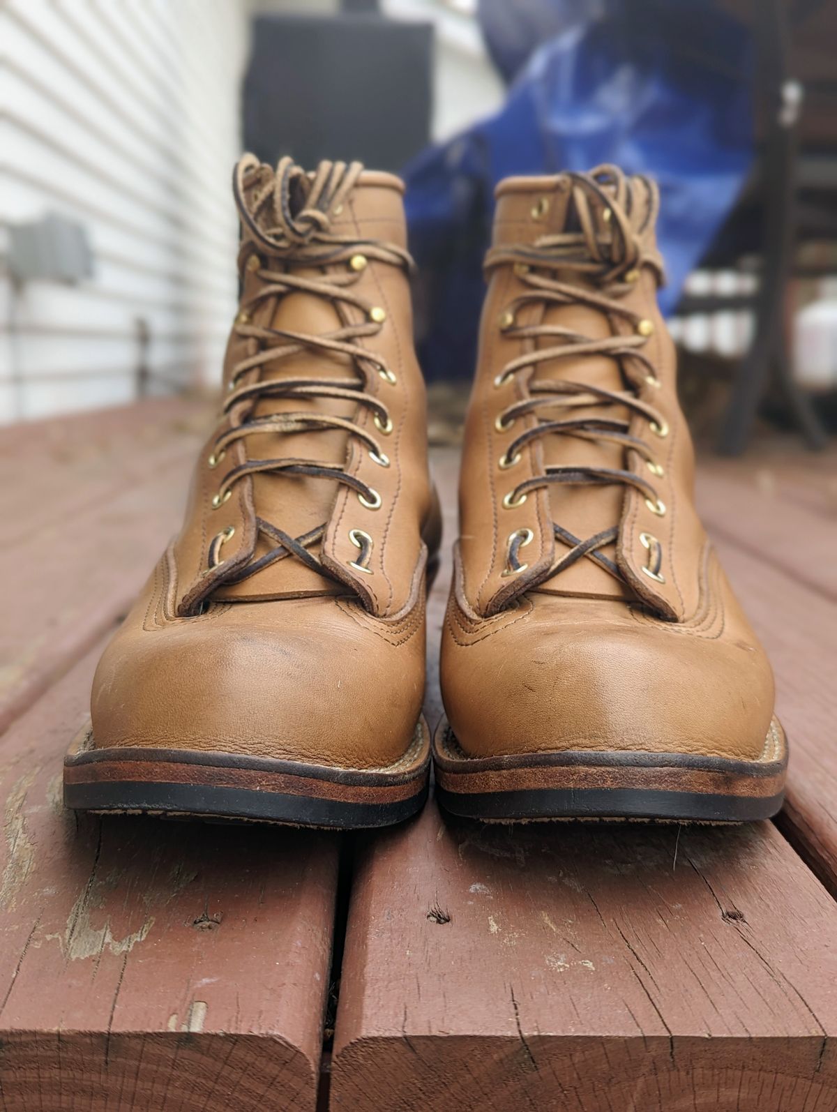 Photo by Homer346 on December 2, 2022 of the Nicks Lace To Toe in Seidel 1964 Tan.