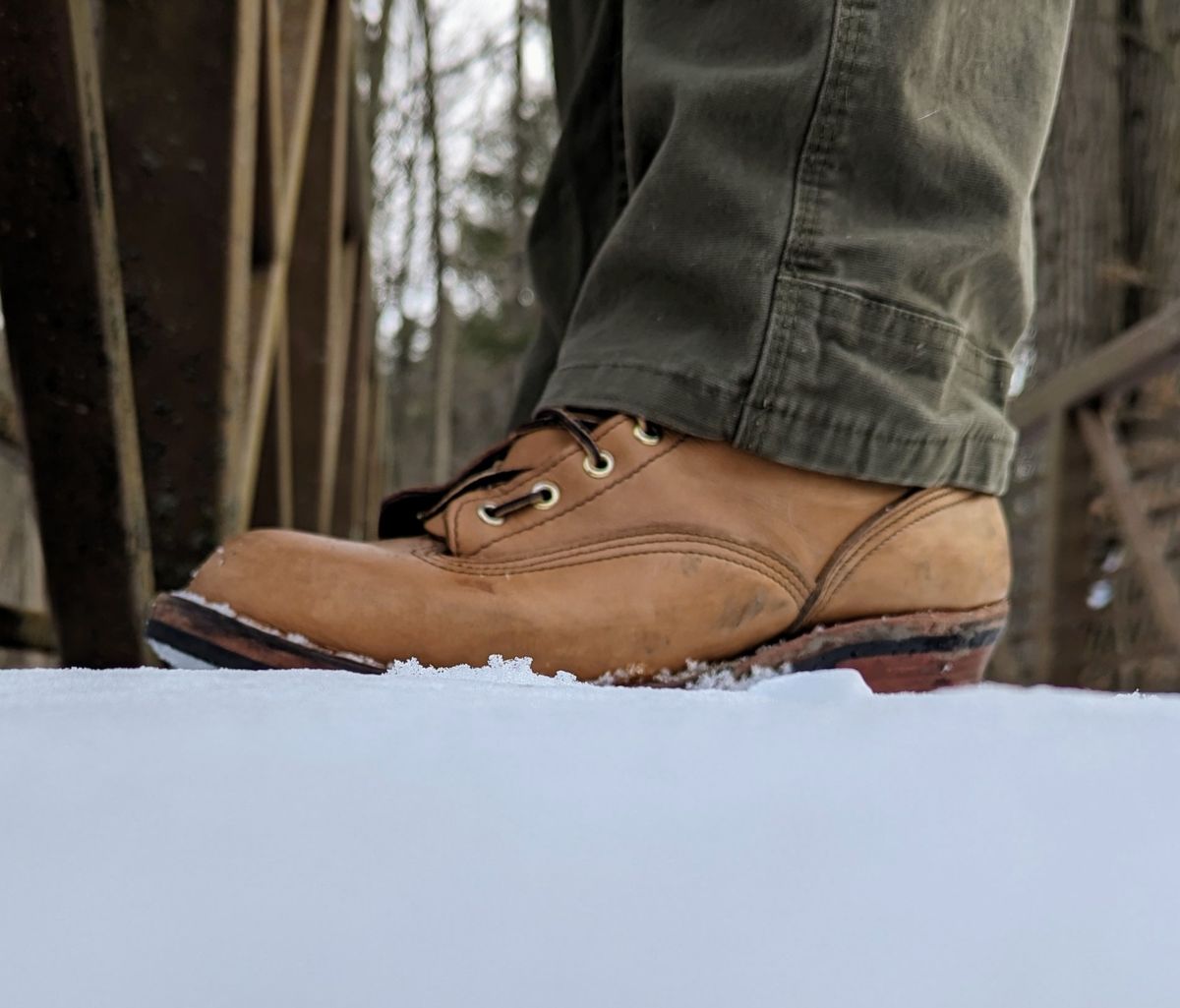 Photo by Homer346 on December 21, 2022 of the Nicks Lace To Toe in Seidel 1964 Tan.
