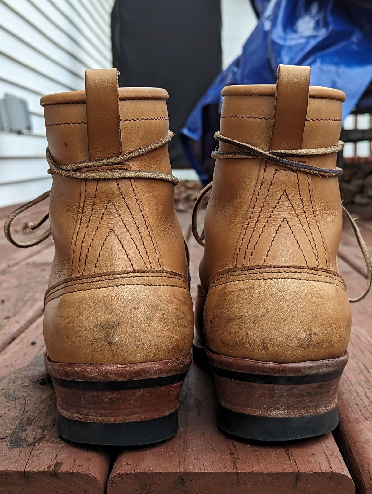 Photo by Homer346 on January 2, 2023 of the Nicks Lace To Toe in Seidel 1964 Tan.