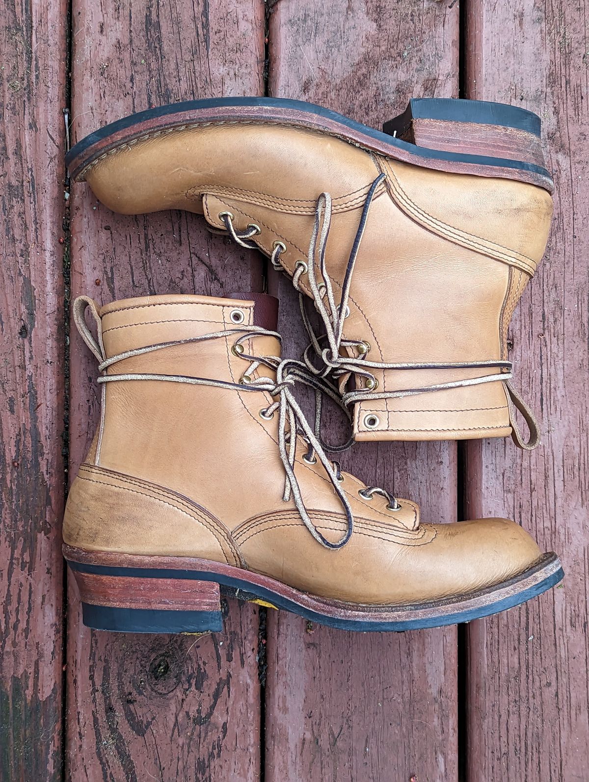 Photo by Homer346 on January 2, 2023 of the Nicks Lace To Toe in Seidel 1964 Tan.