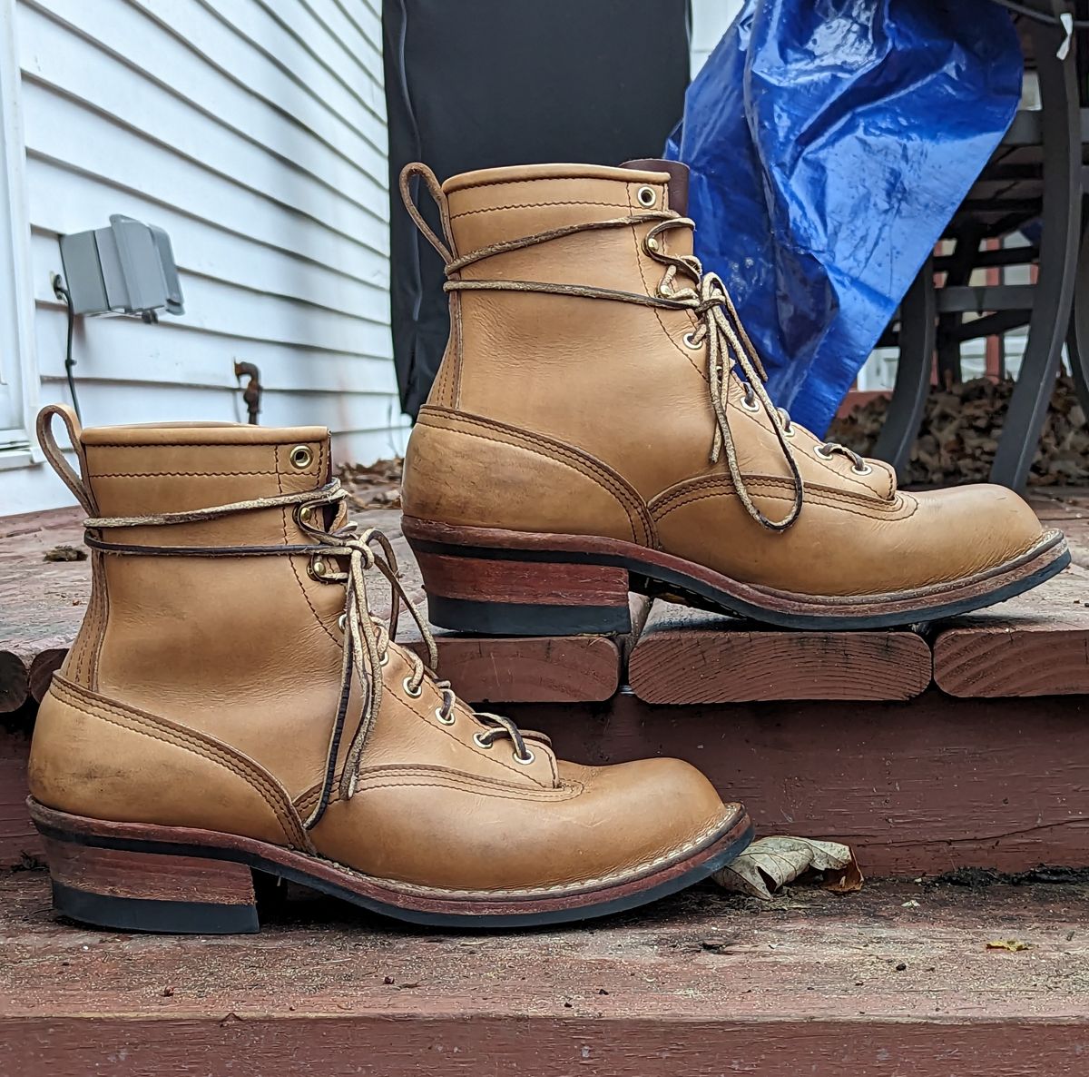 Photo by Homer346 on January 2, 2023 of the Nicks Lace To Toe in Seidel 1964 Tan.