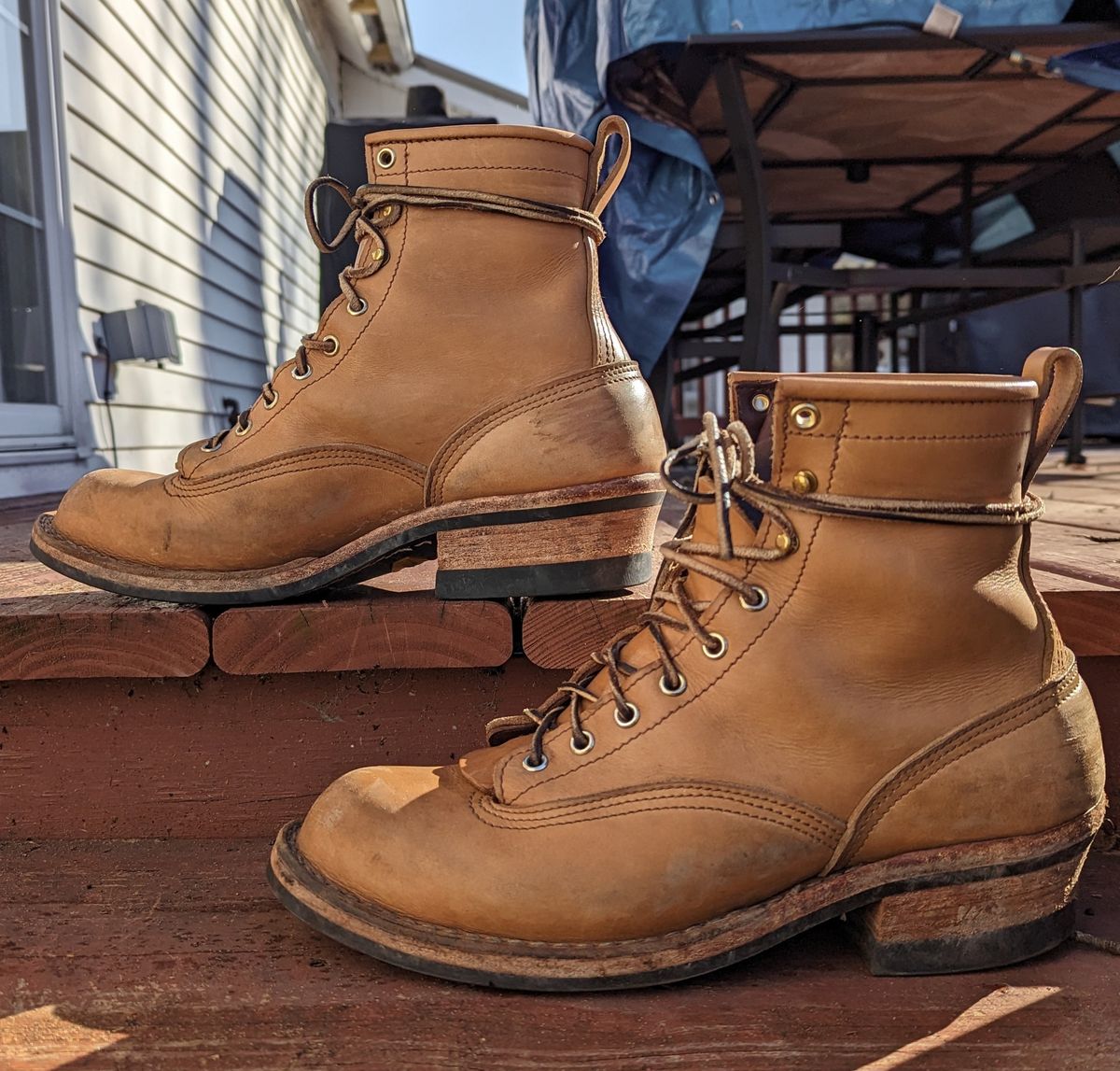 Photo by Homer346 on April 2, 2023 of the Nicks Lace To Toe in Seidel 1964 Tan.