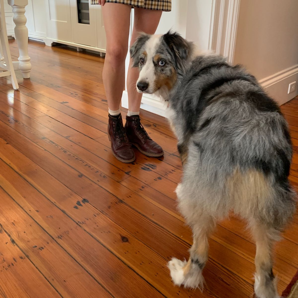 Photo by emilyfurr on November 2, 2022 of the White's MP-M1TC in Horween Color 8 Chromexcel.