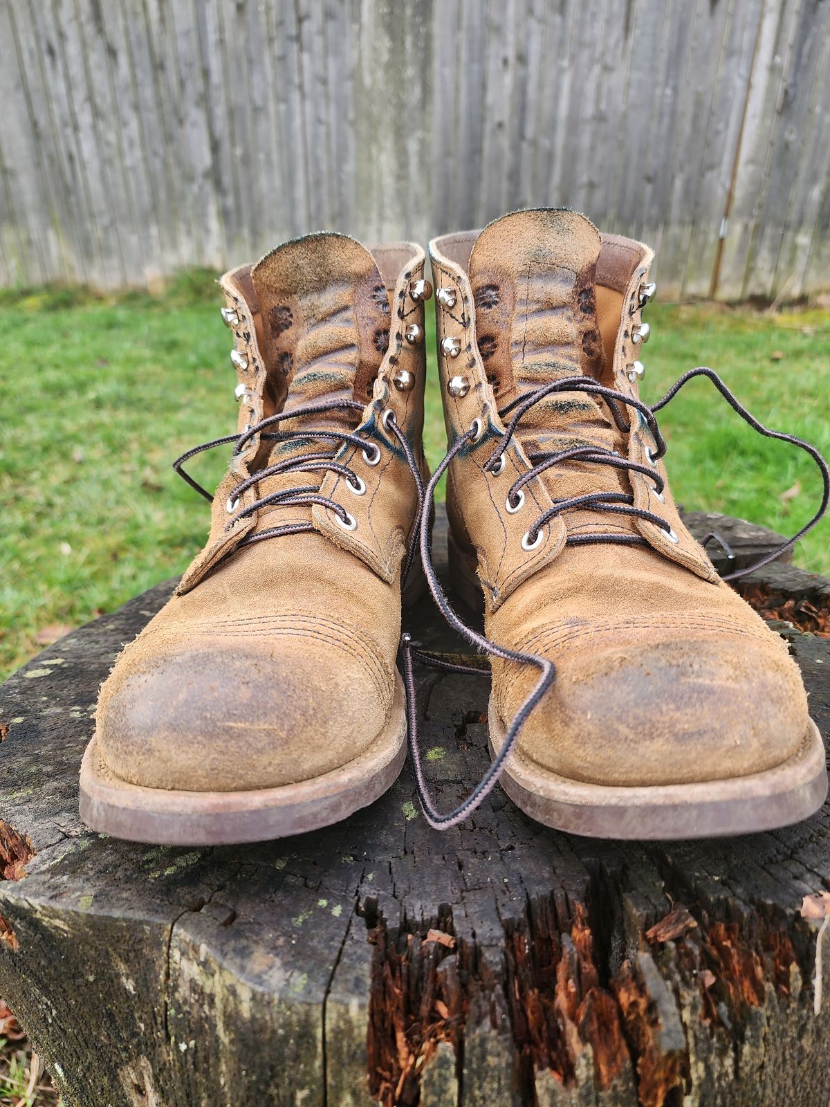 Photo by 2313499 on February 5, 2023 of the Red Wing Iron Ranger in S.B. Foot Hawthorne Muleskinner.