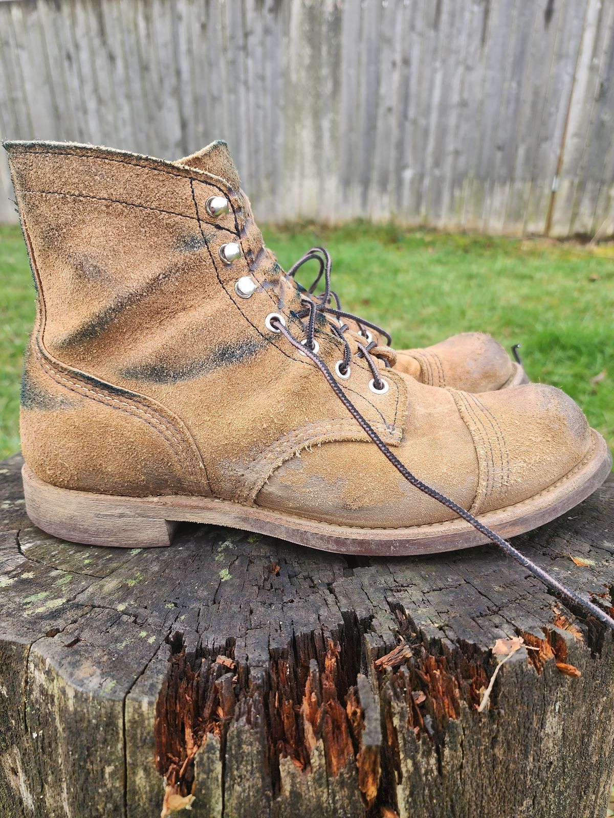 Photo by 2313499 on February 5, 2023 of the Red Wing Iron Ranger in S.B. Foot Hawthorne Muleskinner.