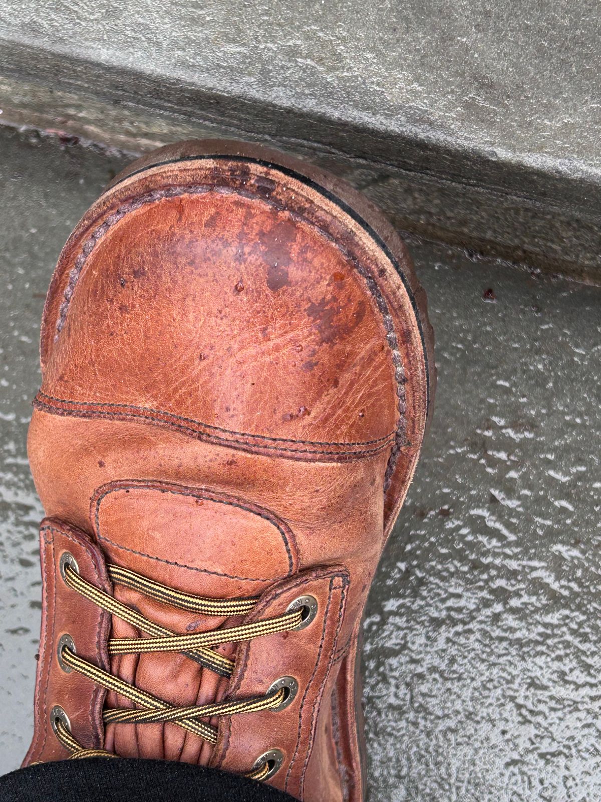 Photo by rattler360 on March 5, 2026 of the Jim Green African Ranger Barefoot Boot in Fudge Crazy Horse.