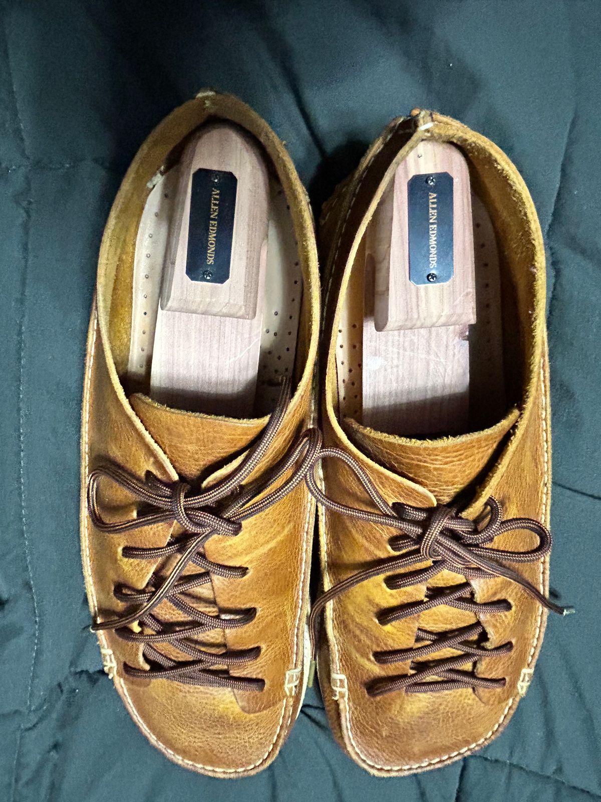 Photo by rattler360 on March 1, 2025 of the Yogi Footwear Finn 3 in Chestnut Brown.