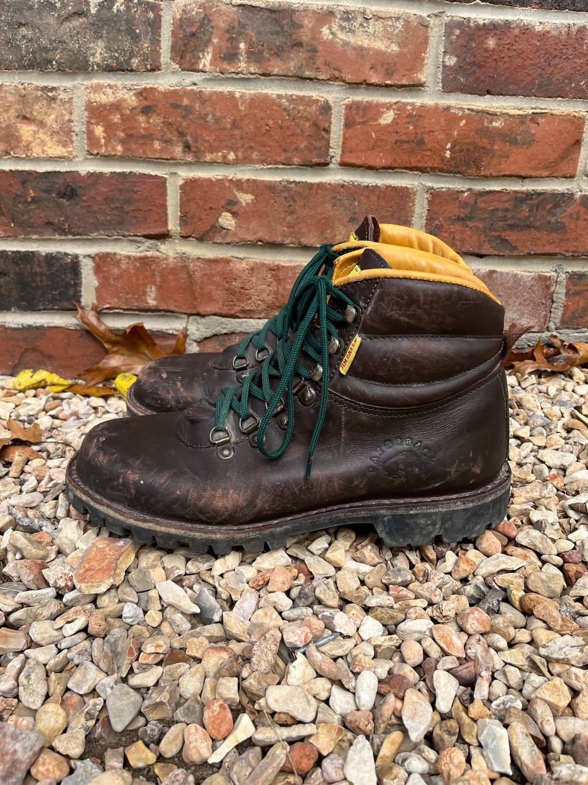 Photo by QuinnH on November 4, 2022 of the Jim Green Razorback in Brown Full Grain.