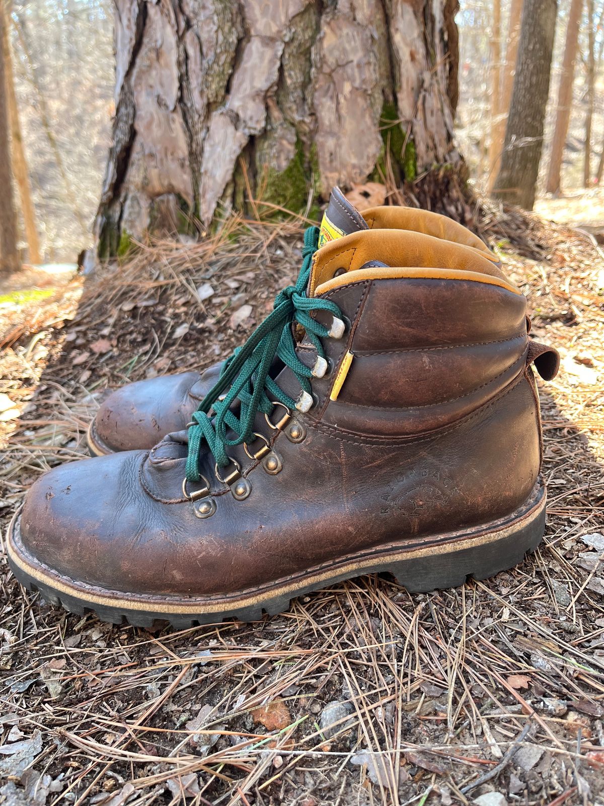 Photo by QuinnH on March 6, 2023 of the Jim Green Razorback in Brown Full Grain.