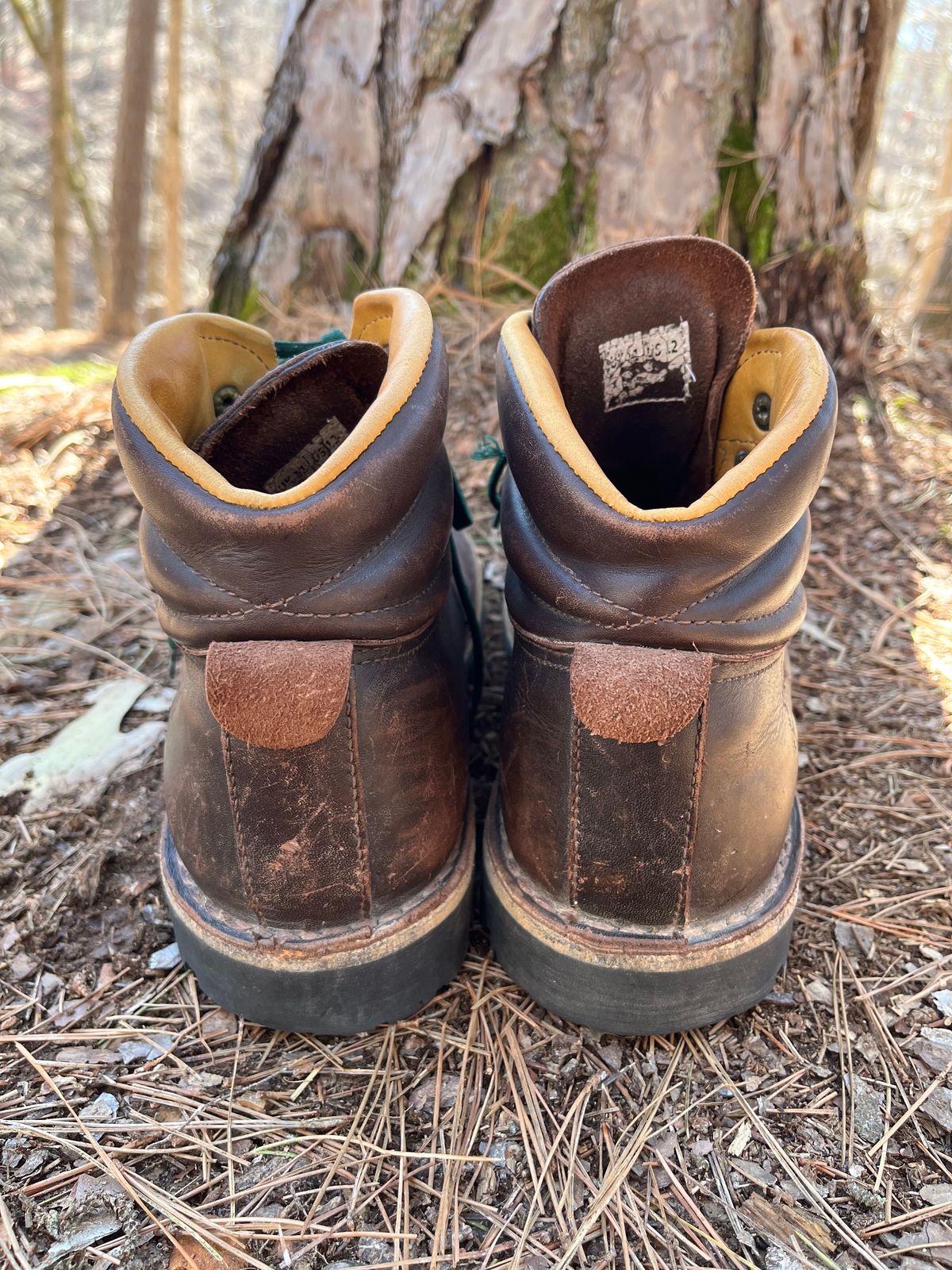 Photo by QuinnH on March 6, 2023 of the Jim Green Razorback in Brown Full Grain.
