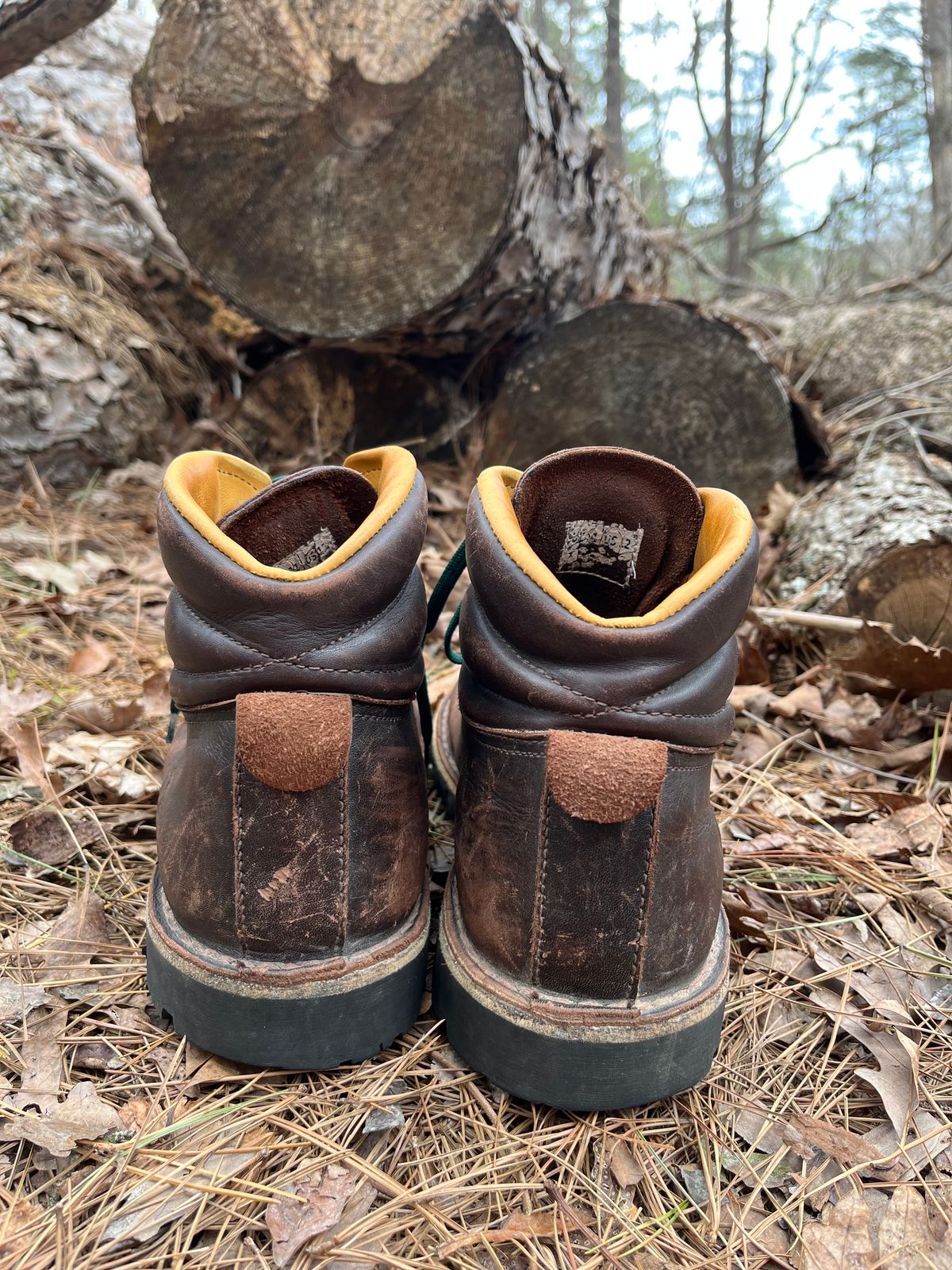 Photo by QuinnH on April 3, 2023 of the Jim Green Razorback in Brown Full Grain.