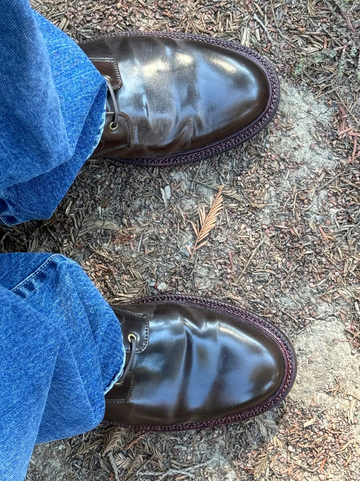 Photo by GalaxyGuy on October 2, 2024 of the Grant Stone Edward Boot in Horween Maduro Shell Cordovan.
