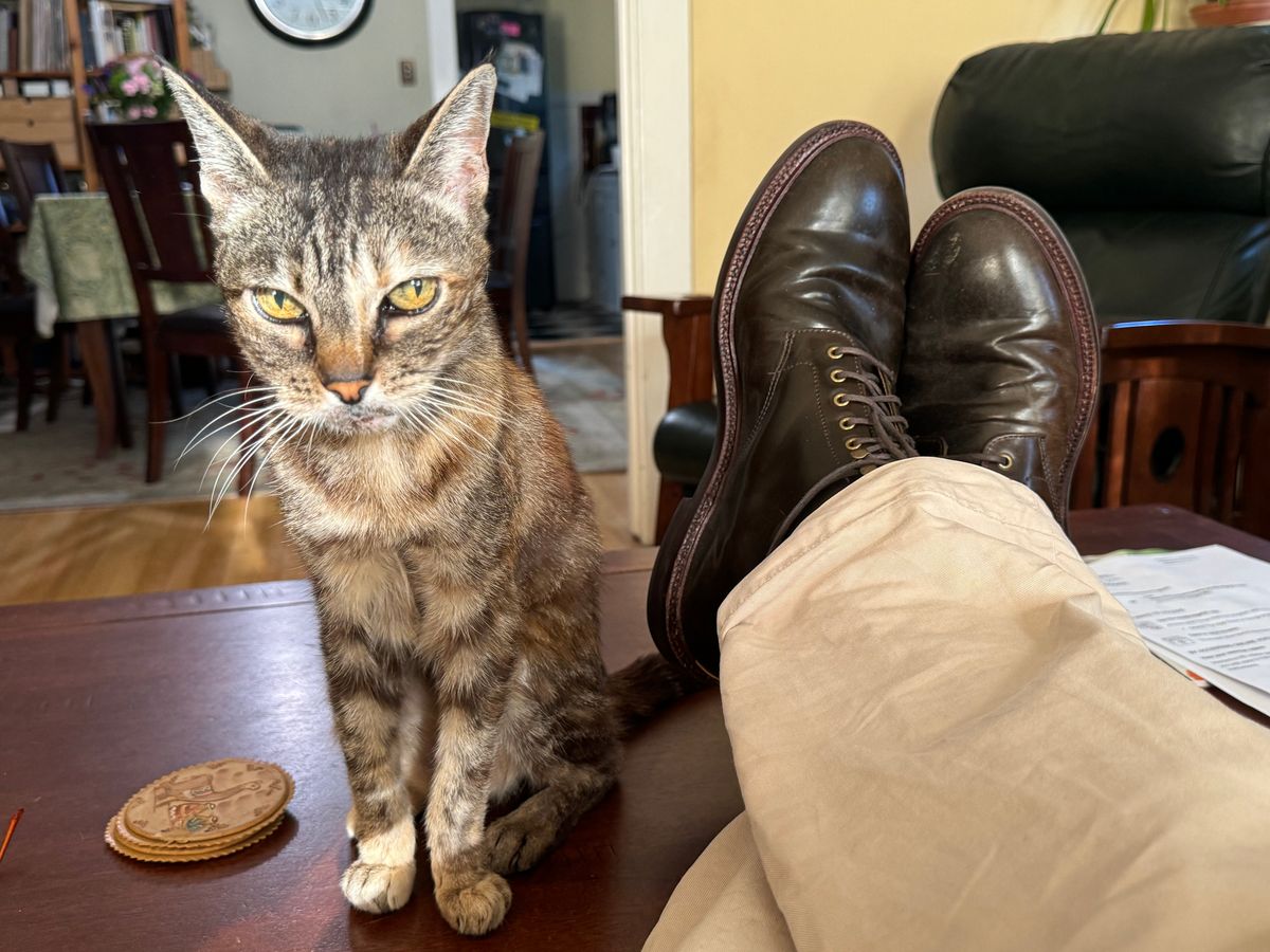 Photo by GalaxyGuy on November 3, 2024 of the Grant Stone Edward Boot in Horween Maduro Shell Cordovan.