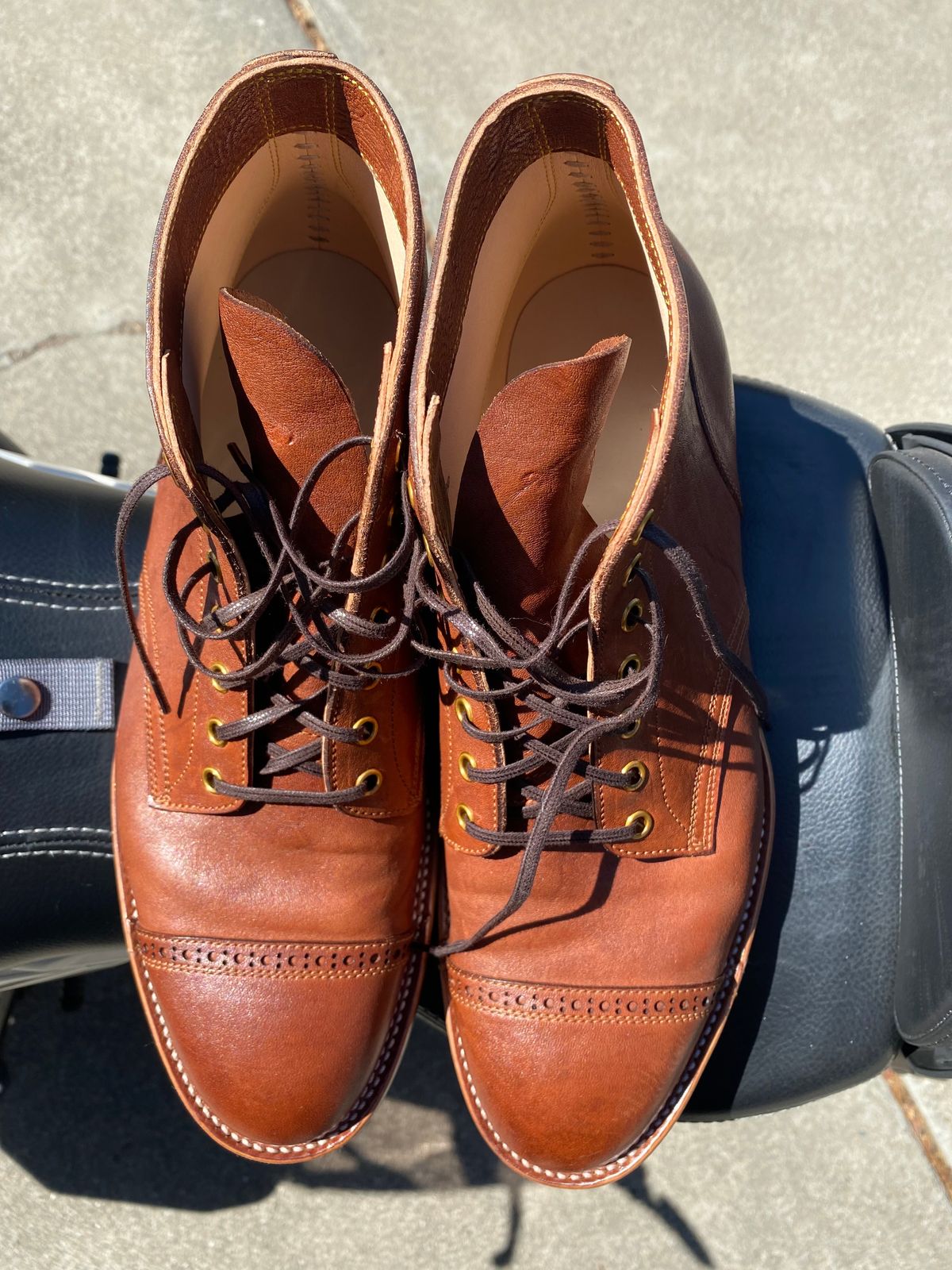 Photo by GalaxyGuy on October 1, 2022 of the Iron Boots Devil Dog in Maryam Brown Horsebutt.