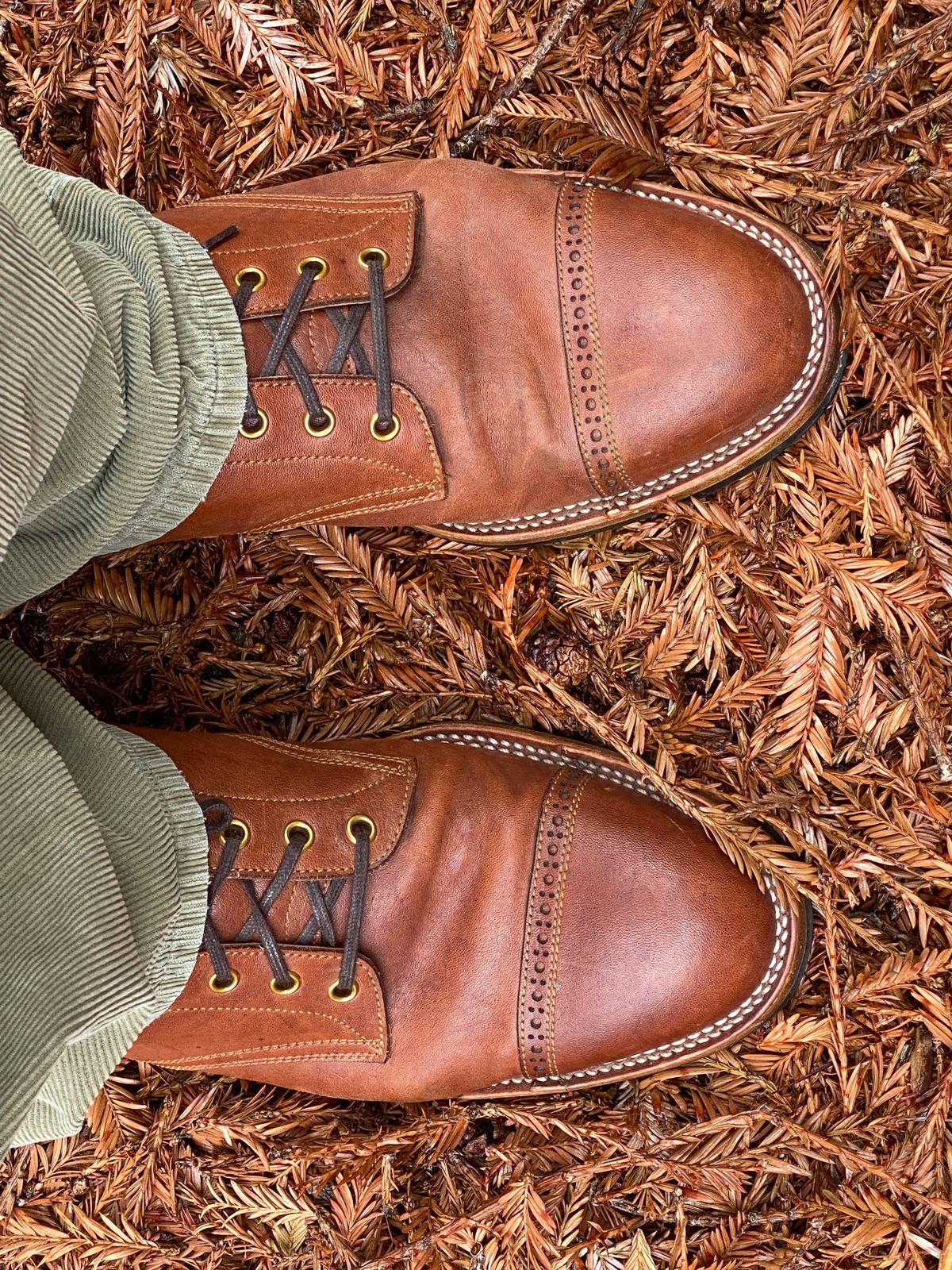 Photo by GalaxyGuy on November 1, 2022 of the Iron Boots Devil Dog in Maryam Brown Horsebutt.