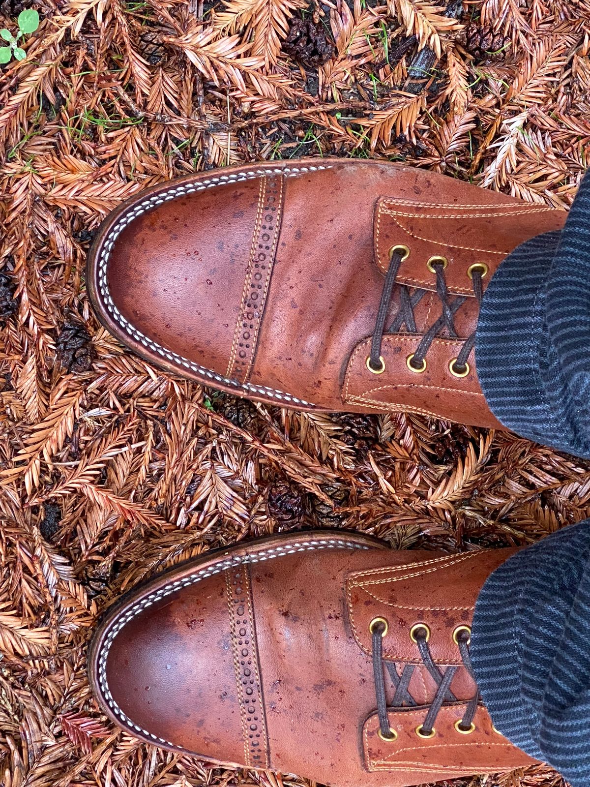 Photo by GalaxyGuy on December 1, 2022 of the Iron Boots Devil Dog in Maryam Brown Horsebutt.